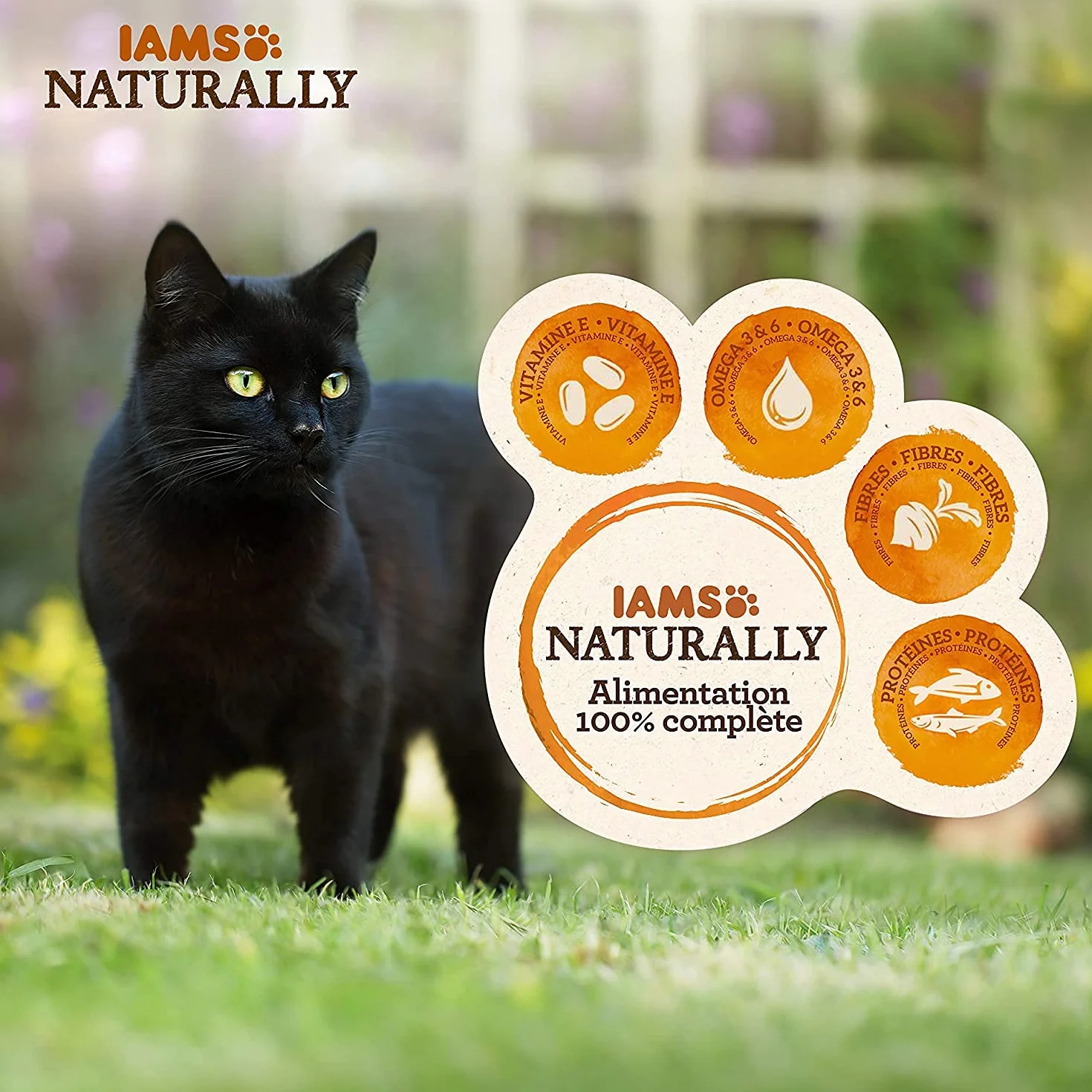 Iams Sea Collection Karma dla Kotów, 12 x 85 g