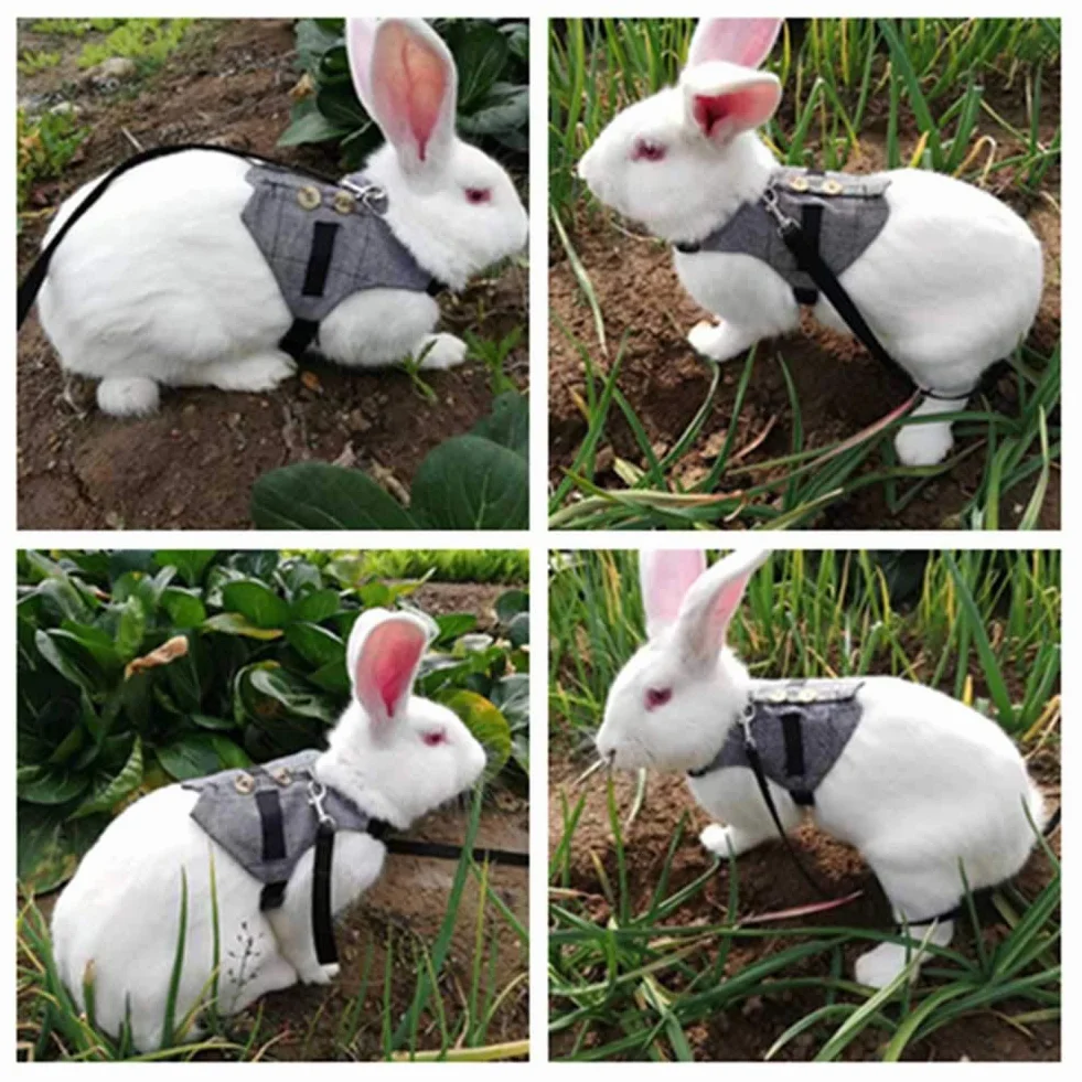 Tnfeeon Rabbit Soft Breathable Harness mit Leine, Pet Rabbit Kleintier Walking Harness Weste Leine Blei(L)