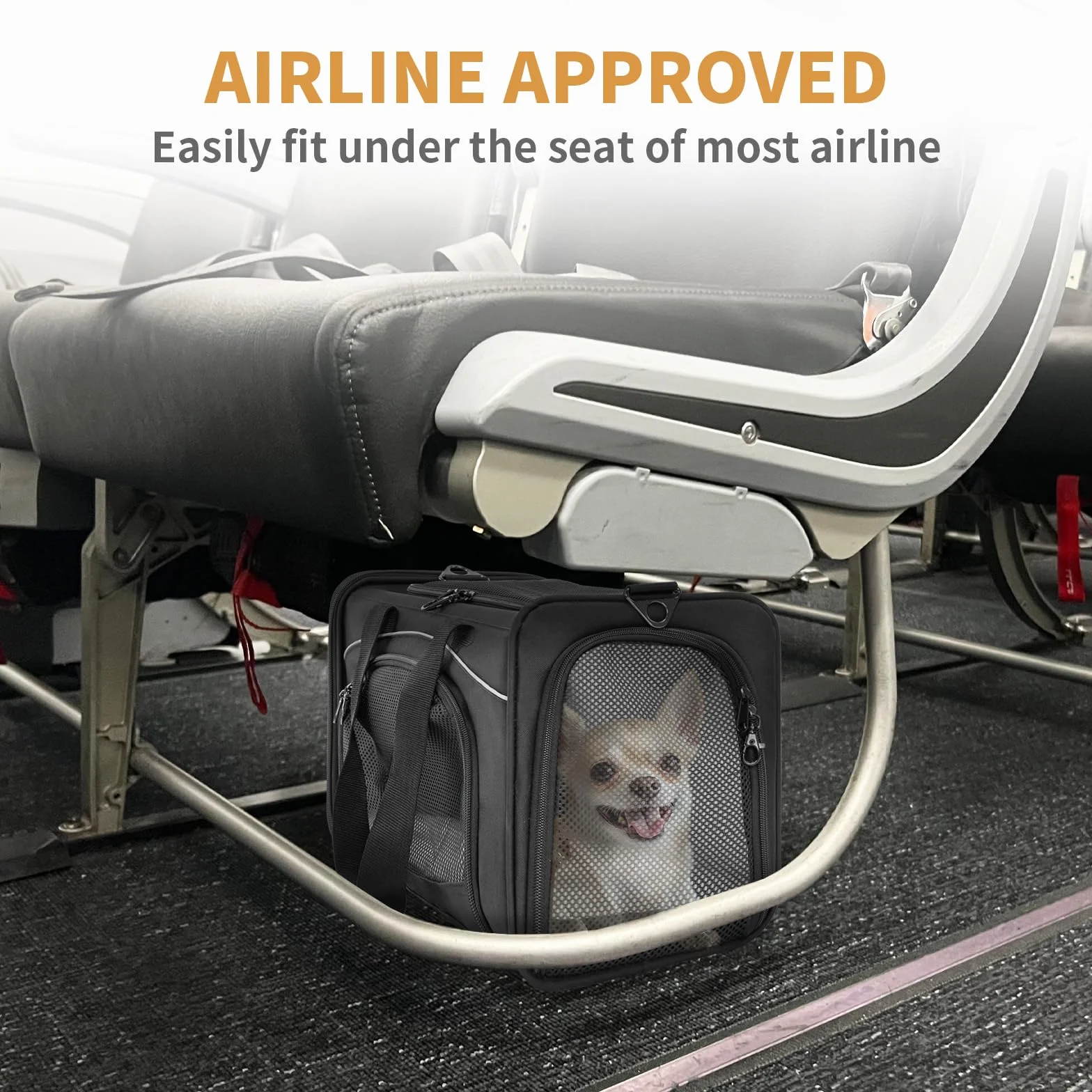Petsfit Transporter dla Kotów, do 5 kg, Czarny