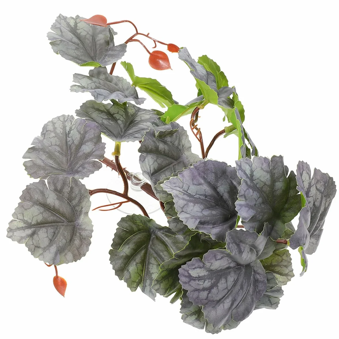 5szt Przyssawki Do Roślin Wiszących Rośliny Kraba Pustelnika Terrarium Wodospady w Terrariach Dla Gadów Rośliny Do Terrariów Monstera Wąż Zakład Zbiornik Wodny Plastikowy