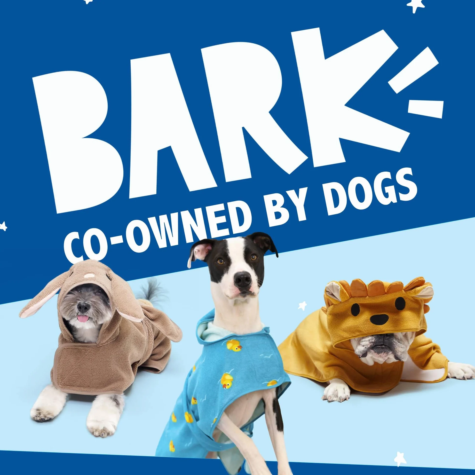 BarkBox Ręcznik kąpielowy dla psa – lekki, super słodki, szybkoschnący – królik (rozmiar S)