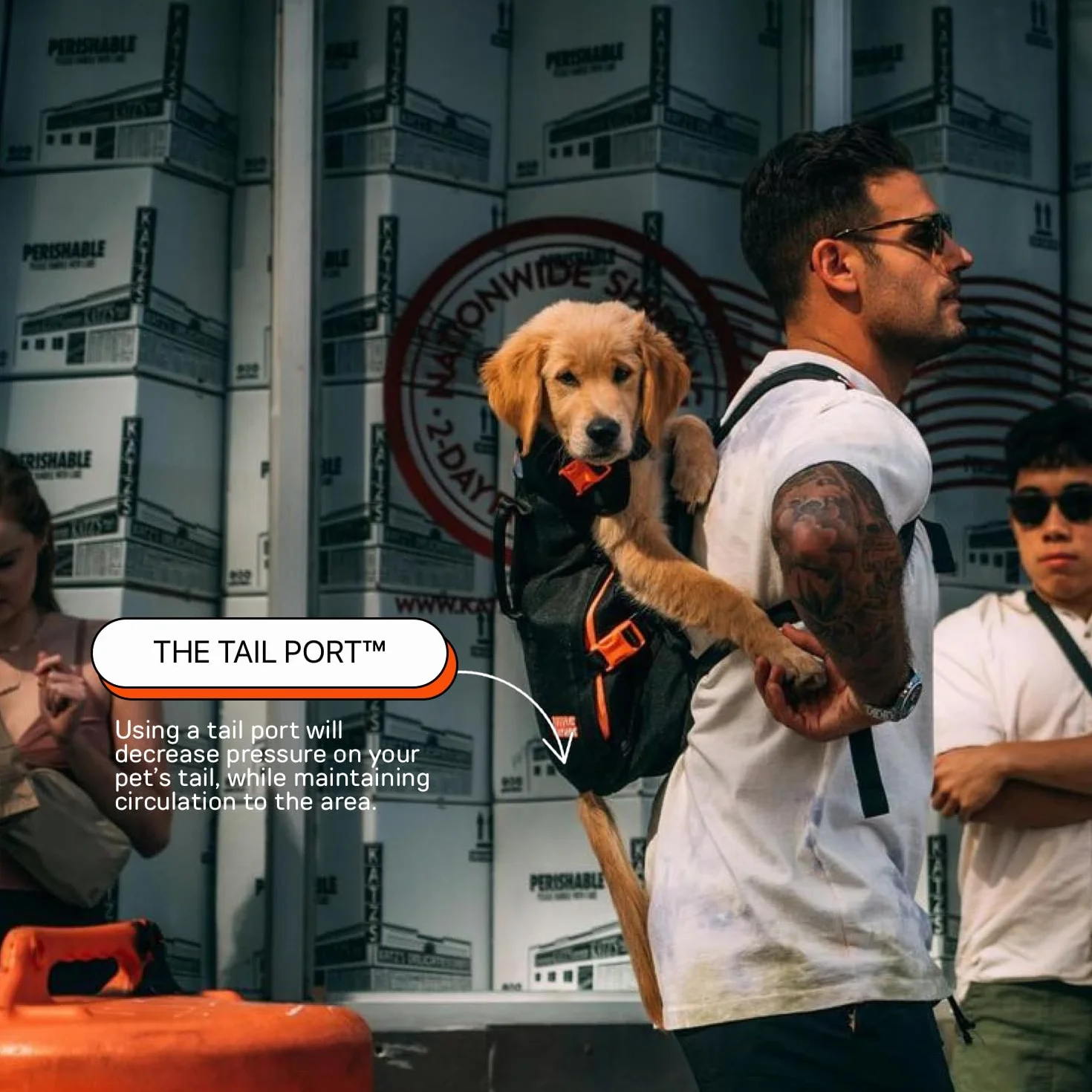 Maxine One Dog Backpack Carrier firmy LITTLE CHONK, regulowana torba skierowana z przodu do podróży lub wędrówek, stworzony dla zwierząt domowych o wadze do 22,7 kg, czarny