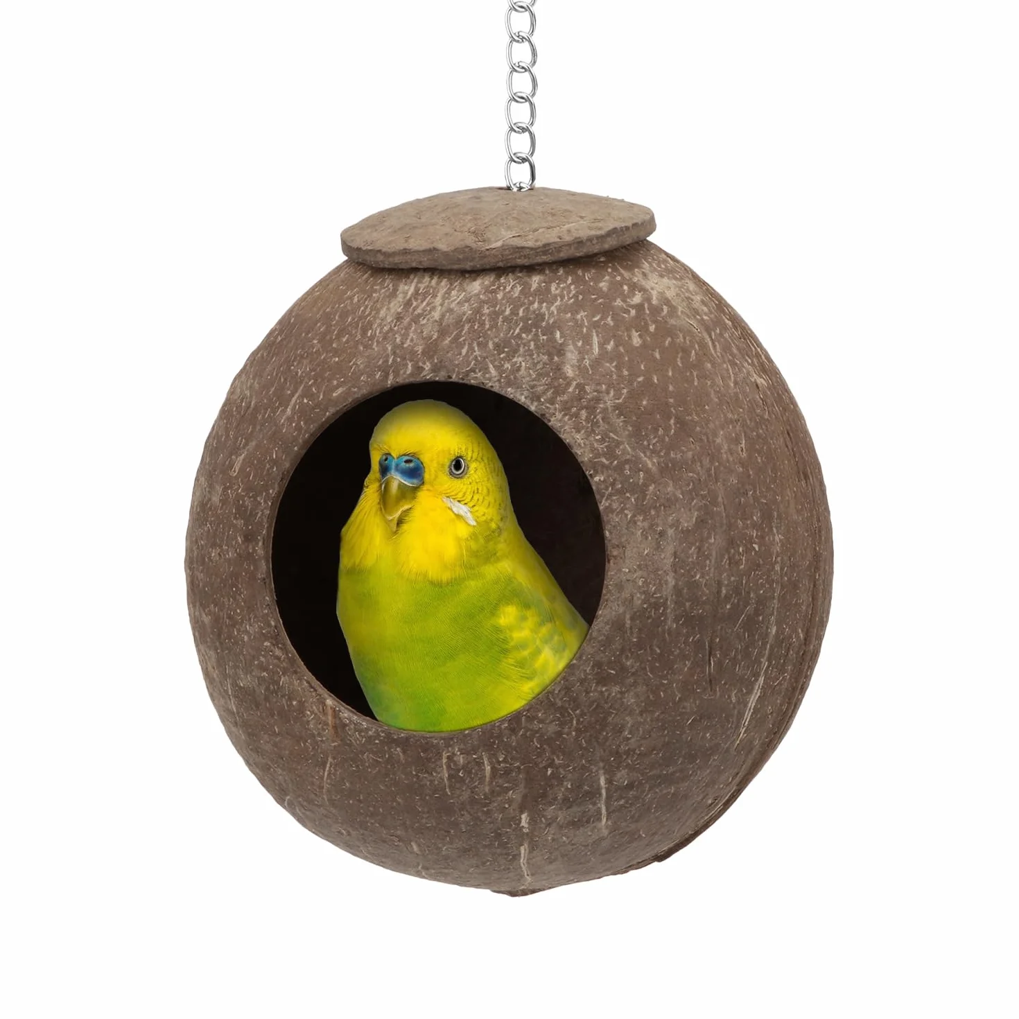 Naturalna kryjówka kokosowa papuga, ptaki, zabawki, dekoracyjne gniazdo dla ptaków, klatka dla zwierząt domowych, papuga, budgie, papuga, kokatiele, konura, kanarek, kończyn, klatka gołębia, chomika, szczur (tylko klatka gniazdo)