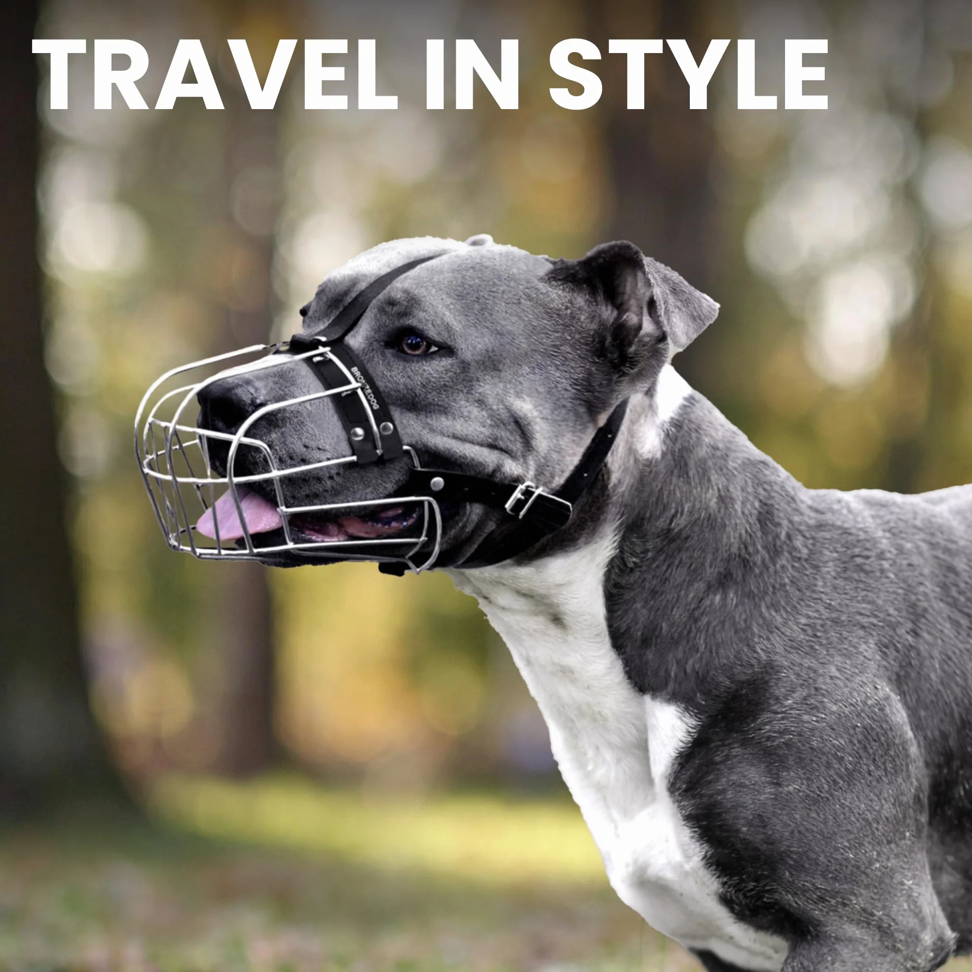 BRONZEDOG Pitbull Kaganiec dla psa metalowa maska Amstaff kosz druciany Pit Bull regulowane skórzane paski dla dużych psów (czarna)