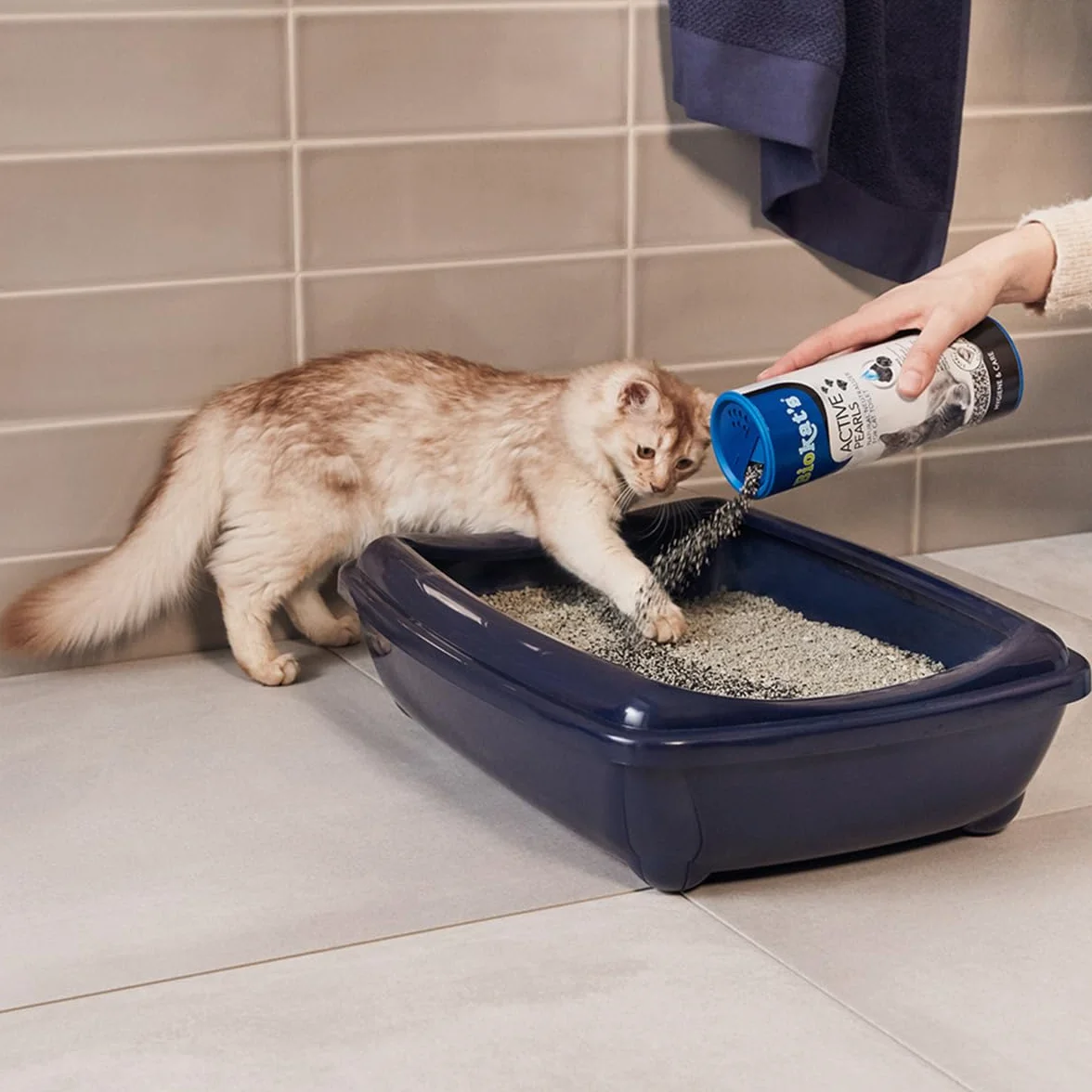 Biokatʼs Active Pearls - Dodatek do żwirku z węglem aktywnym poprawiający jego chłonność i wiązanie zapachu - 1 puszka (1 × 700 ml)