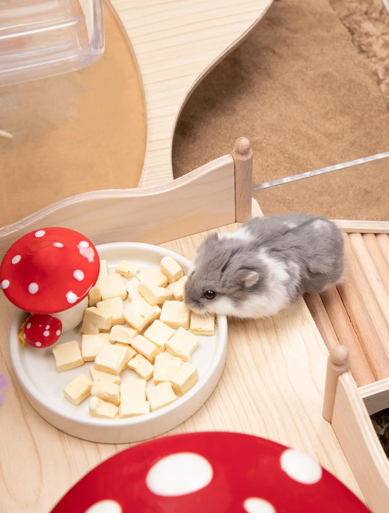 Niteangel Zabawka dla chomików i smakołyków – naturalna uczta dla chomików karłowatych, chomików syryjskich, robo, gerbilów, myszy, degusów lub (zamrożone tofu 5 mm – 20 g)
