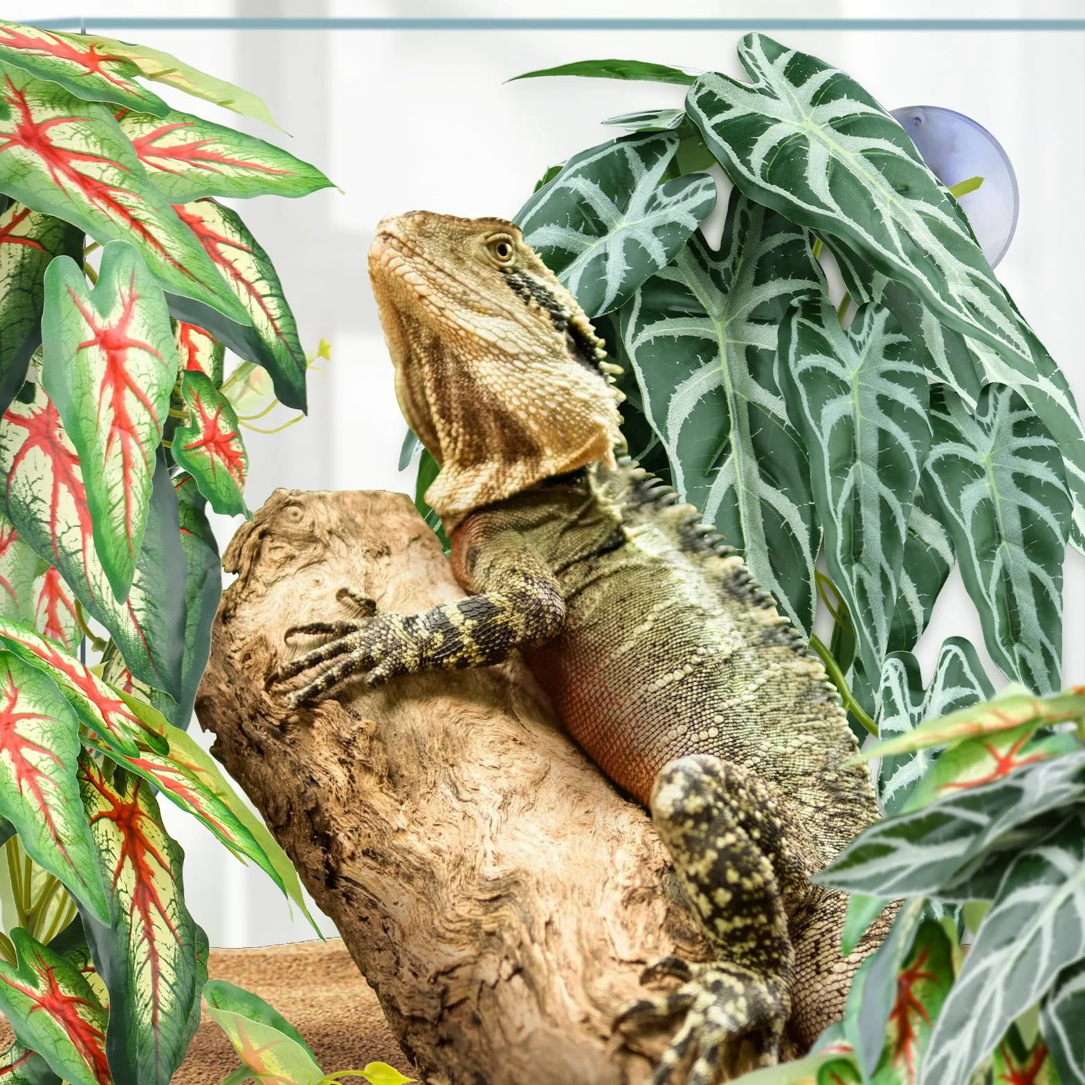 QUOZUO 2 sztuki Sztuczne rośliny do terrarium, sztuczne liście do dekoracji terrarium z przyssawkami, wiszące rośliny pnącza do terrarium dla brodawczaków, jaszczurek, węży, geko, żab