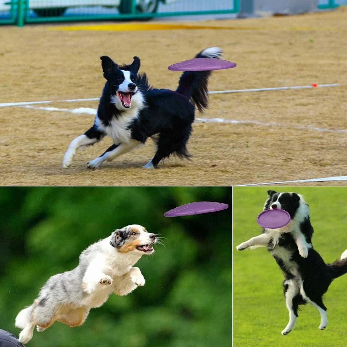 2-częściowy Frisbee dla psa, zabawka dla psa, 18 cm, Frisbee dla psa, idealna do treningu psów, rzucania, łapania i zabawy (fioletowy+niebieski)