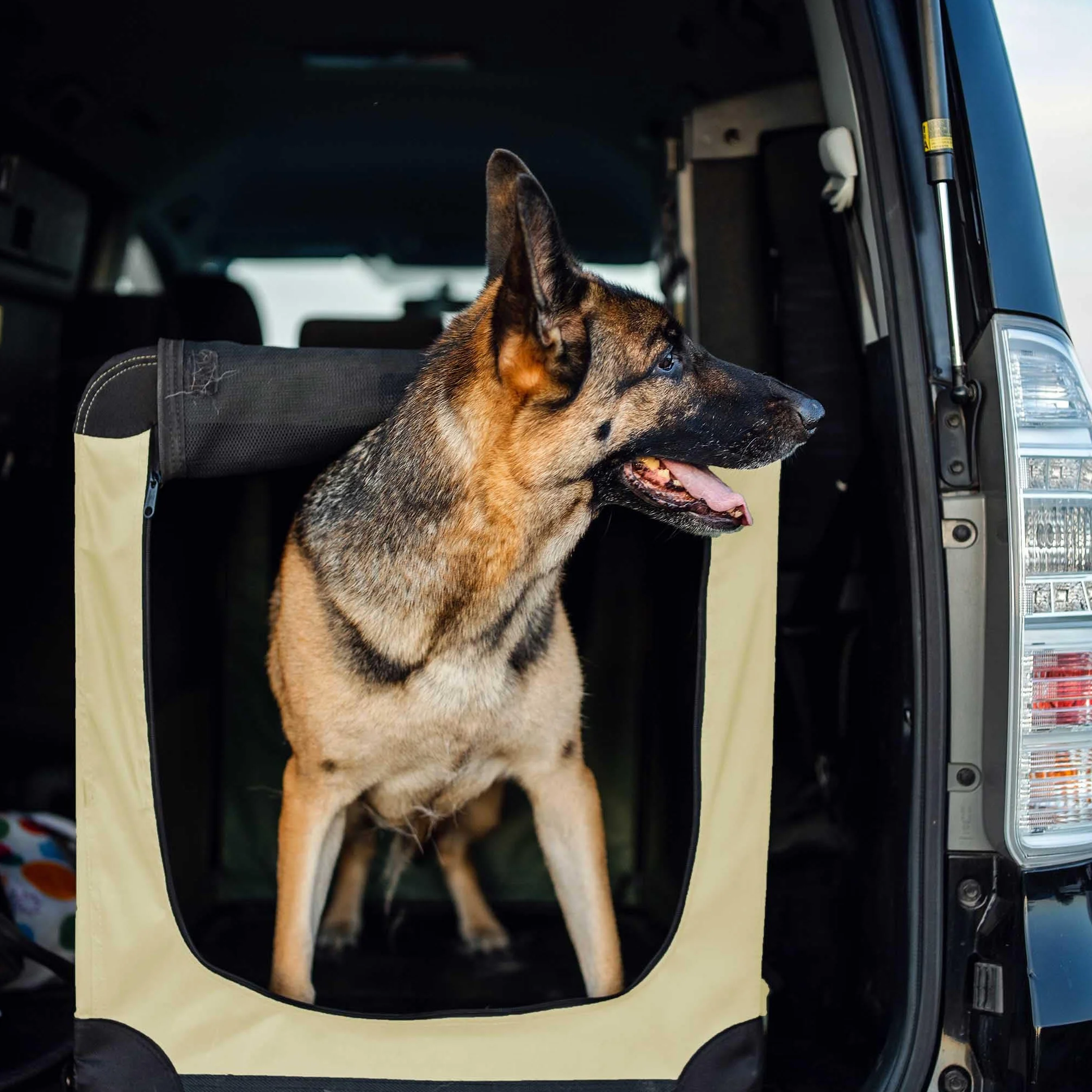 Fudajo Składany transporter dla psa i kota XXL (90x60x64 cm) beżowy, klatka transportowa z poduszką, lekka torba do samochodu dla zwierząt do max. 25 kg