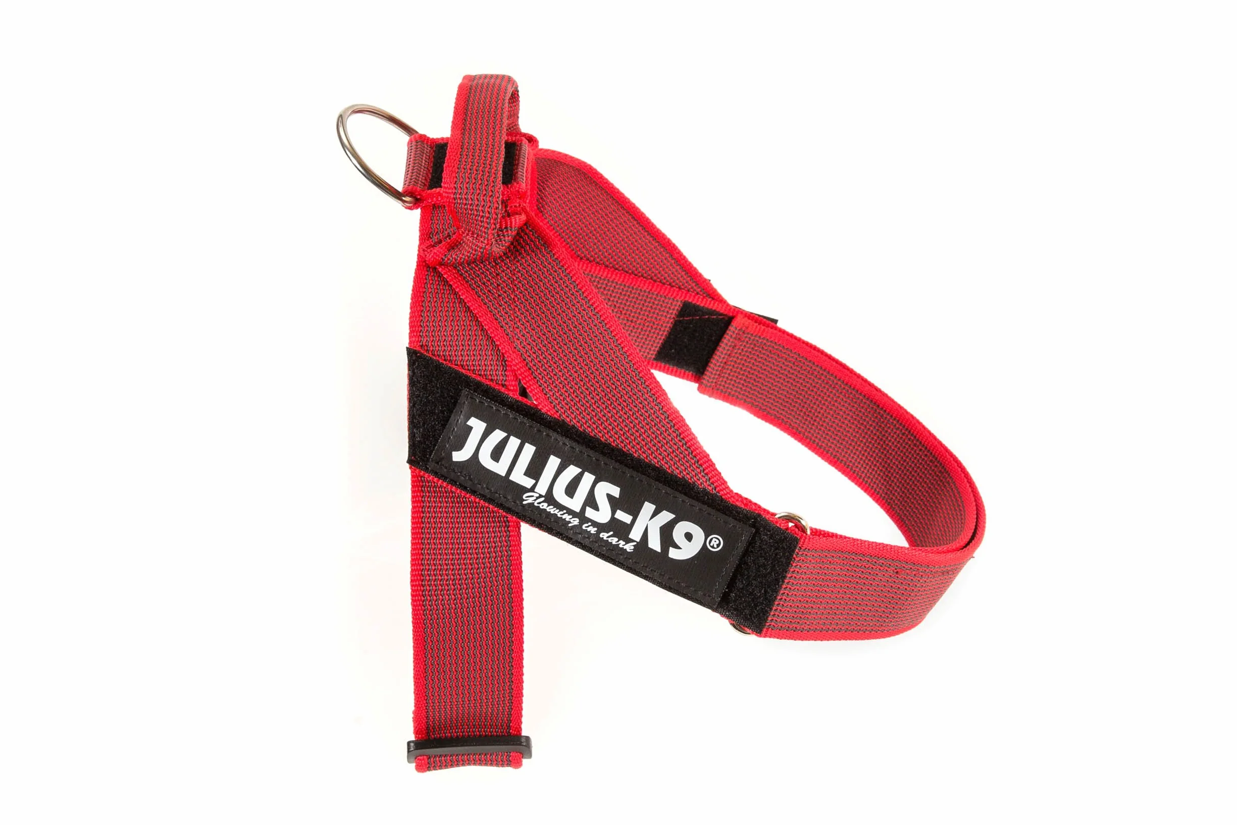 JULIUS K-9, Color & Gray, uprząż na pasek, M / 0