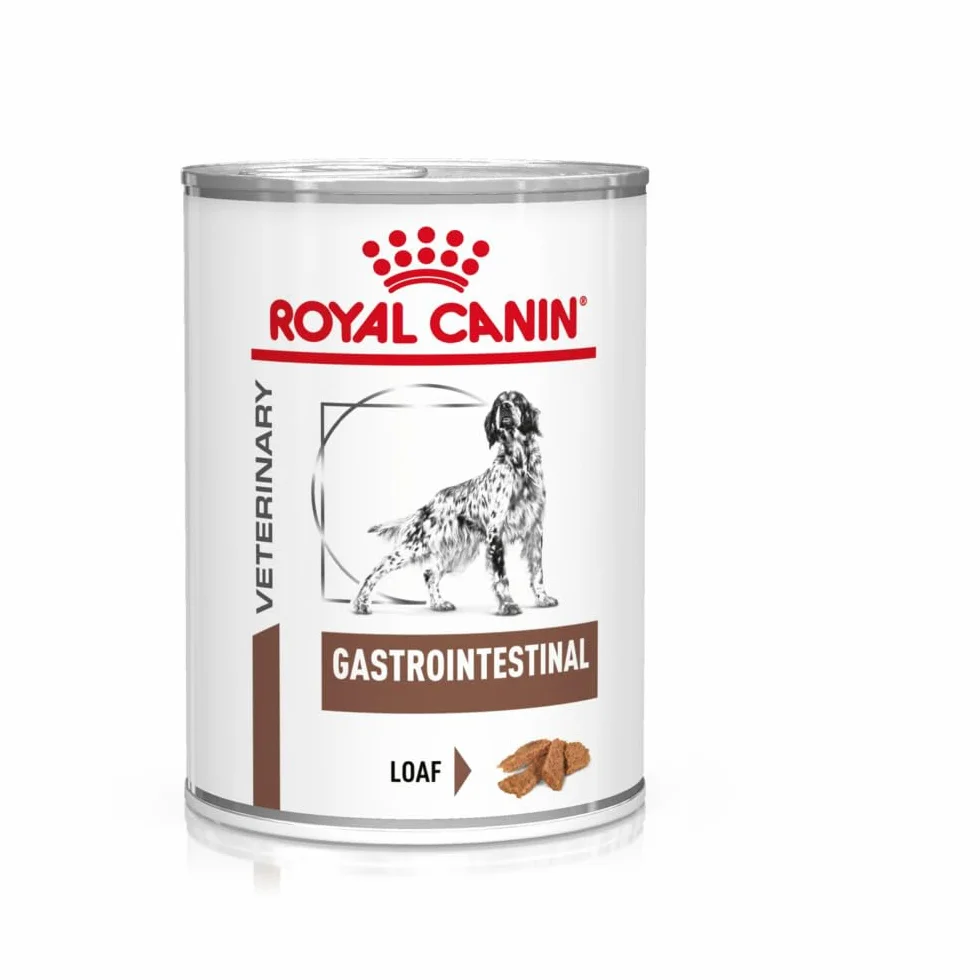 Royal Canin Weterynaryjny mus żołądkowo-jelitowy | 12 x 400 g | karma pełnowartościowa dla dorosłych psów | do leczenia ostrych zaburzeń wchłaniania jelit.