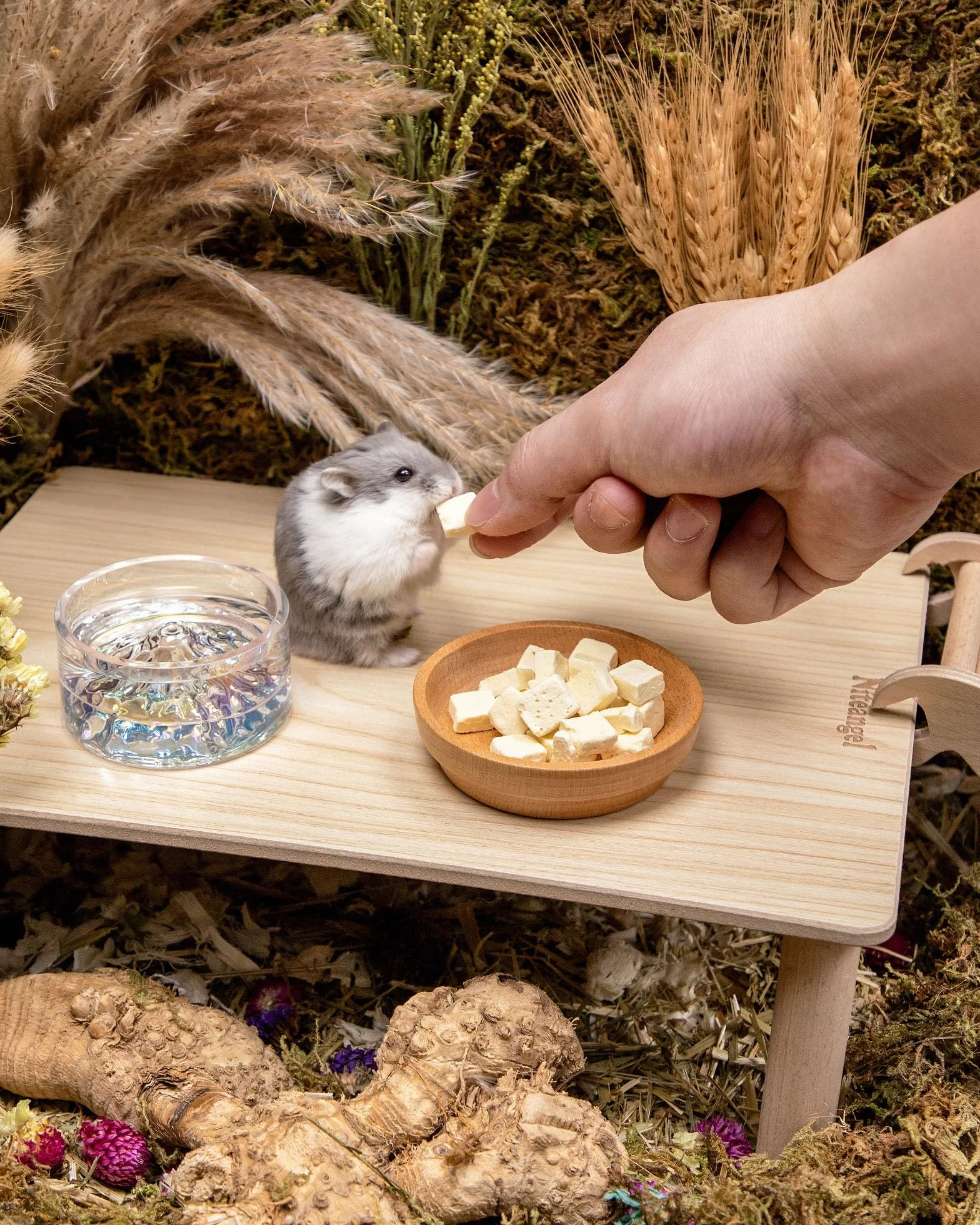 Niteangel Zabawka dla chomików i smakołyków – naturalna uczta dla chomików karłowatych, chomików syryjskich, robo, gerbilów, myszy, degusów lub (zamrożone tofu 5 mm – 20 g)