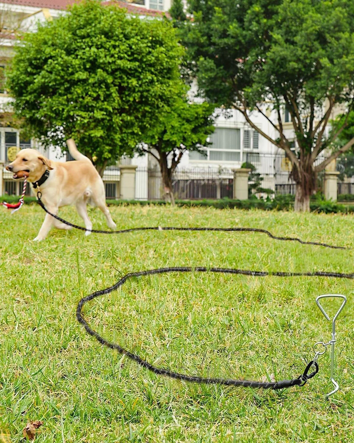 Joytale Smycz treningowa dla psów, wyściełany uchwyt, długa smycz, 5 m, 10 m, 15 m, długość 20 m, smycz do treningu, zabawy, na kemping, podwórko, linka naciągowa, czarna, 5 m
