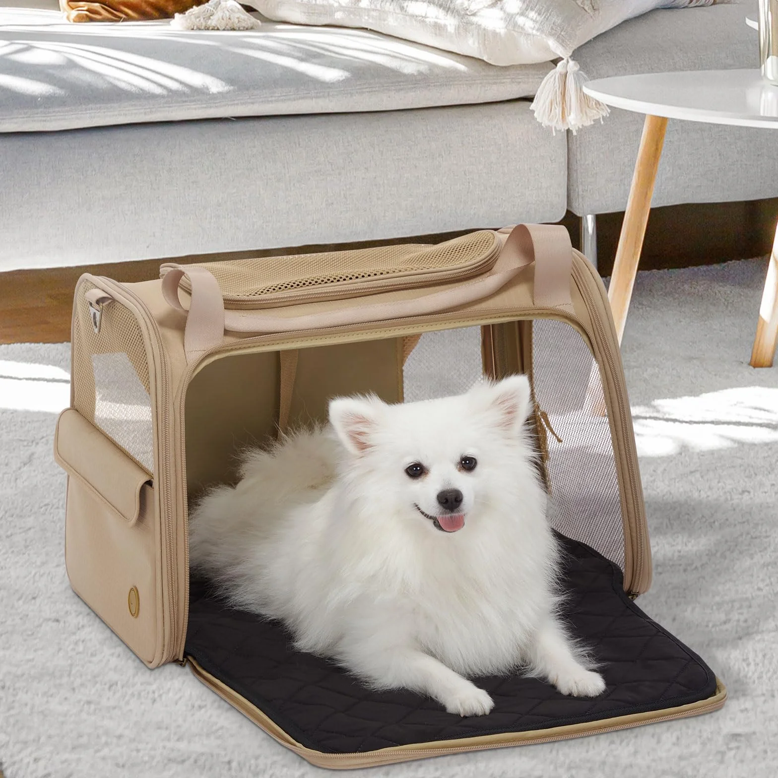 Petsfit Duże nosidełko dla kotów, lekkie nosidełko podróżne dla małych psów i kotów, nosidełko dla psów z rozszerzalną matą, ulepszone nosidełko podróżne o dużej przestrzeni z miękką konstrukcją