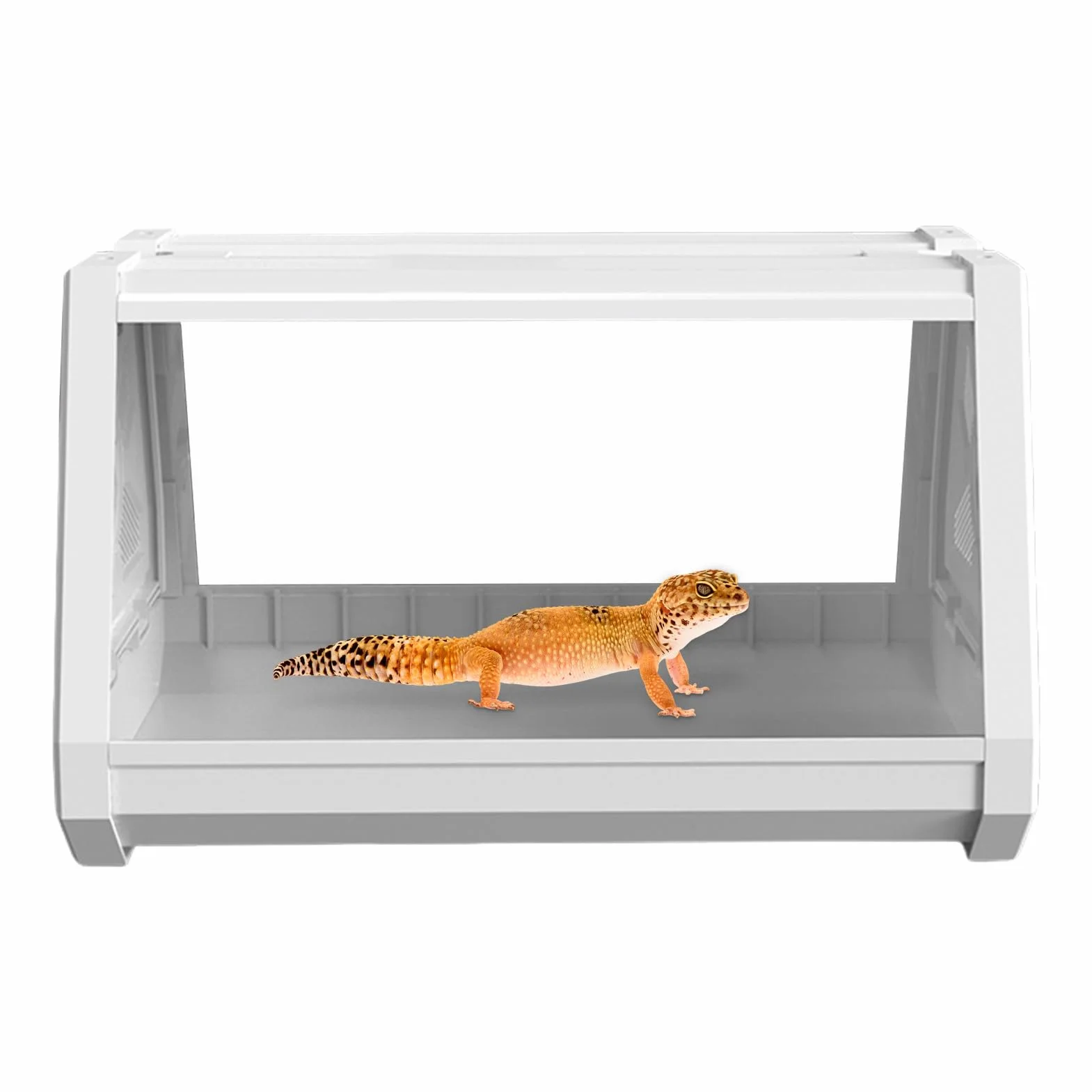 Terrarium dla gadów, terrarium gadów Wielofunkcyjna klatka siedliska dla | Wielofunkcyjne terrarium Gad Habitat na kraby pustelni, węże, rogatne żaby
