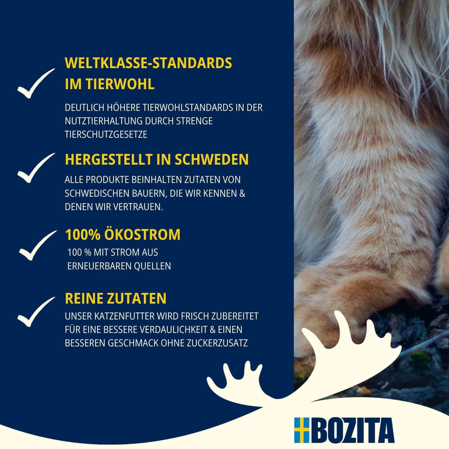 Bozita Karma mokra dla kotów w galaretce z plamiakiem 6x370 g bez zbóż i cukru 7,5% białka 5% tłuszczu