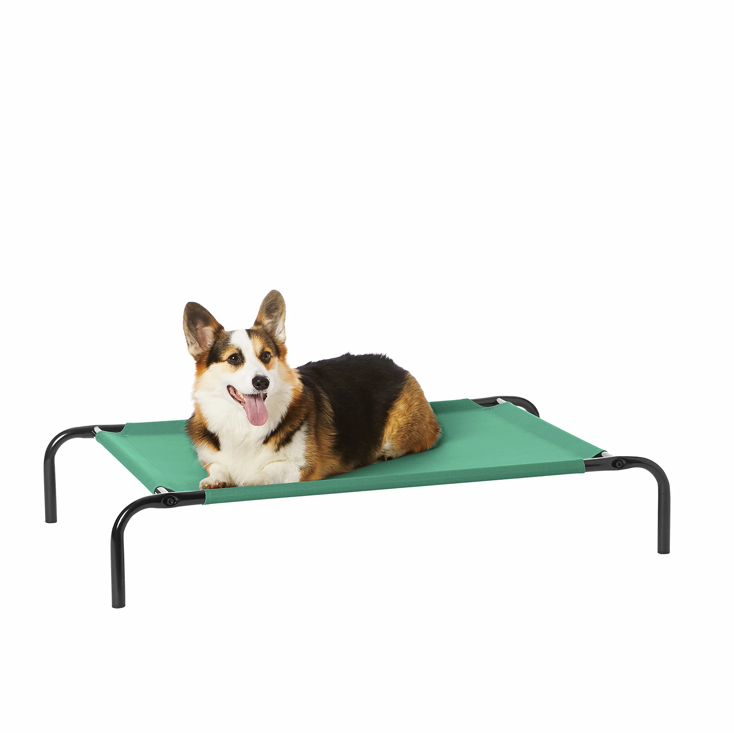 Amazon Basics Podwyższone legowisko chłodzące dla psa, z metalową ramą, M, 109,22 x 66,04 x 19,05 cm, zielone