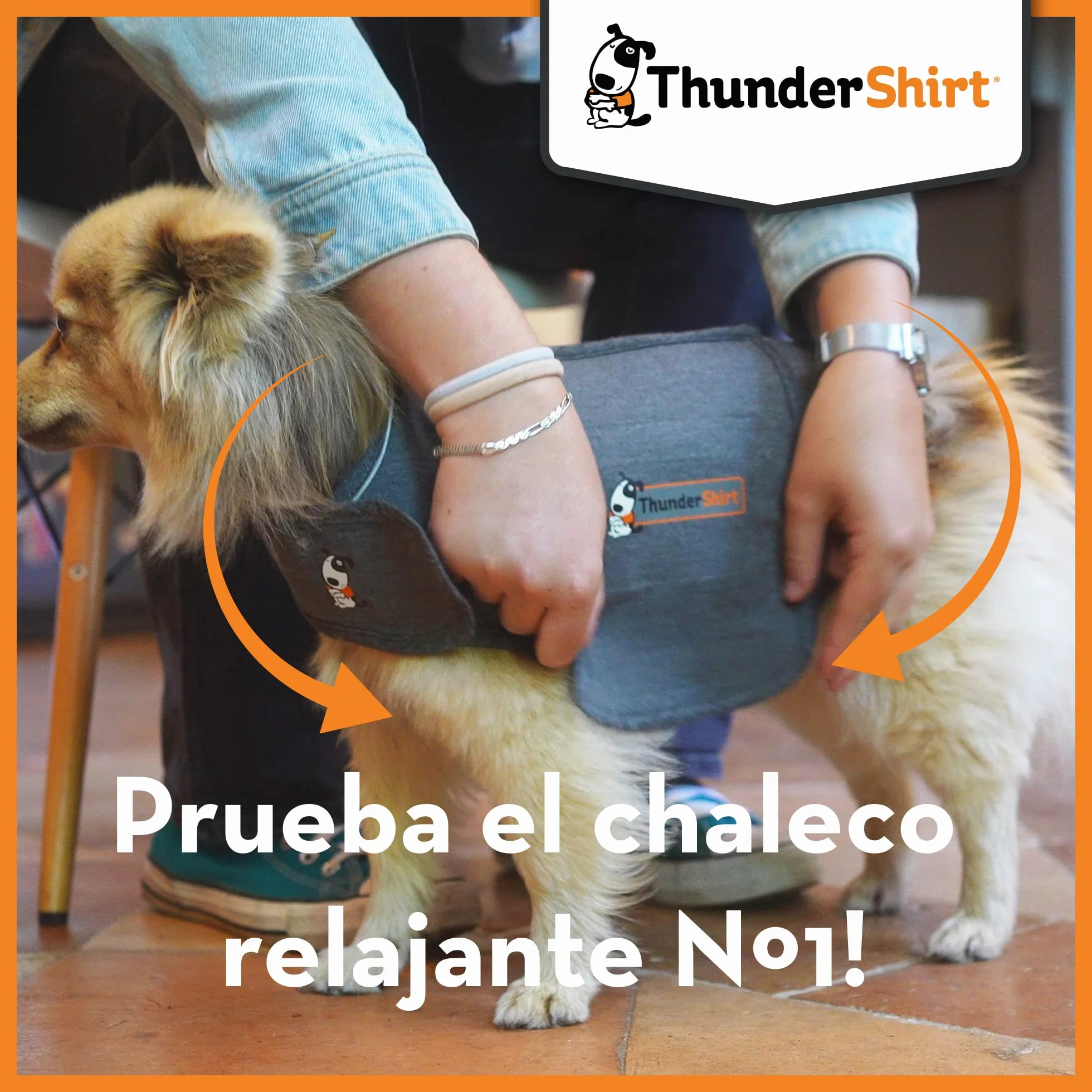 ThunderShirt: Uspokajająca kurtka dla psów, natychmiastowa naturalna ulga w przypadku lęku, fajerwerków, podróży, Thunder - szara kurtka 5 rozmiarów XS