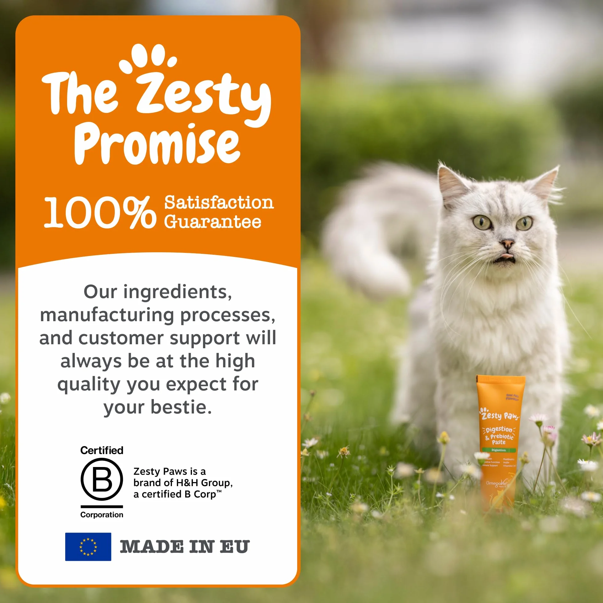 Zesty Paws Pasta uspokajająca dla kotów | spokój | relaks | pomaga kotom czuć się komfortowo | lakt | wyciąg z zielonej herbaty L-teanina | L-tryptofan | witamina B1 | prawdziwy rybny smak | 75 g