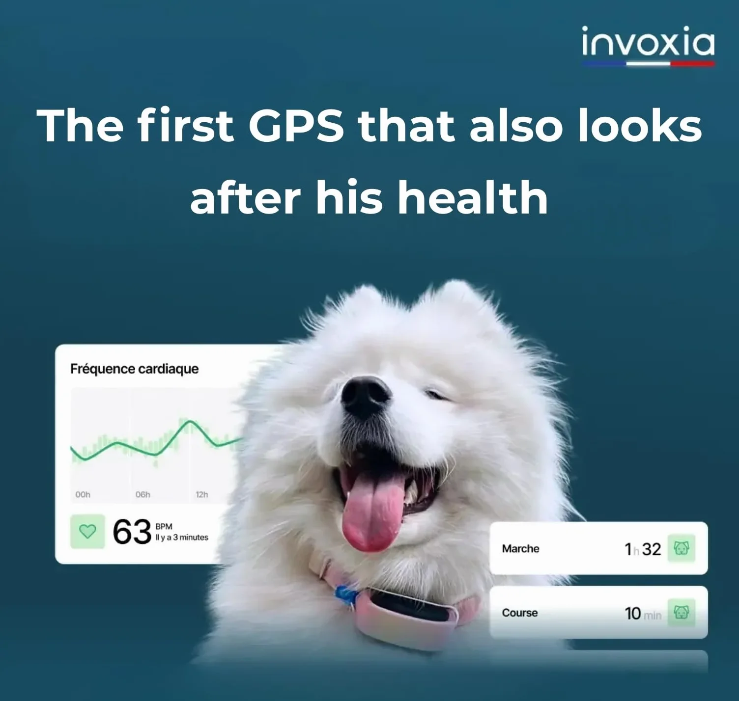 Invoxia Minitailz Gps Lokalizator, Czarny, S-XL