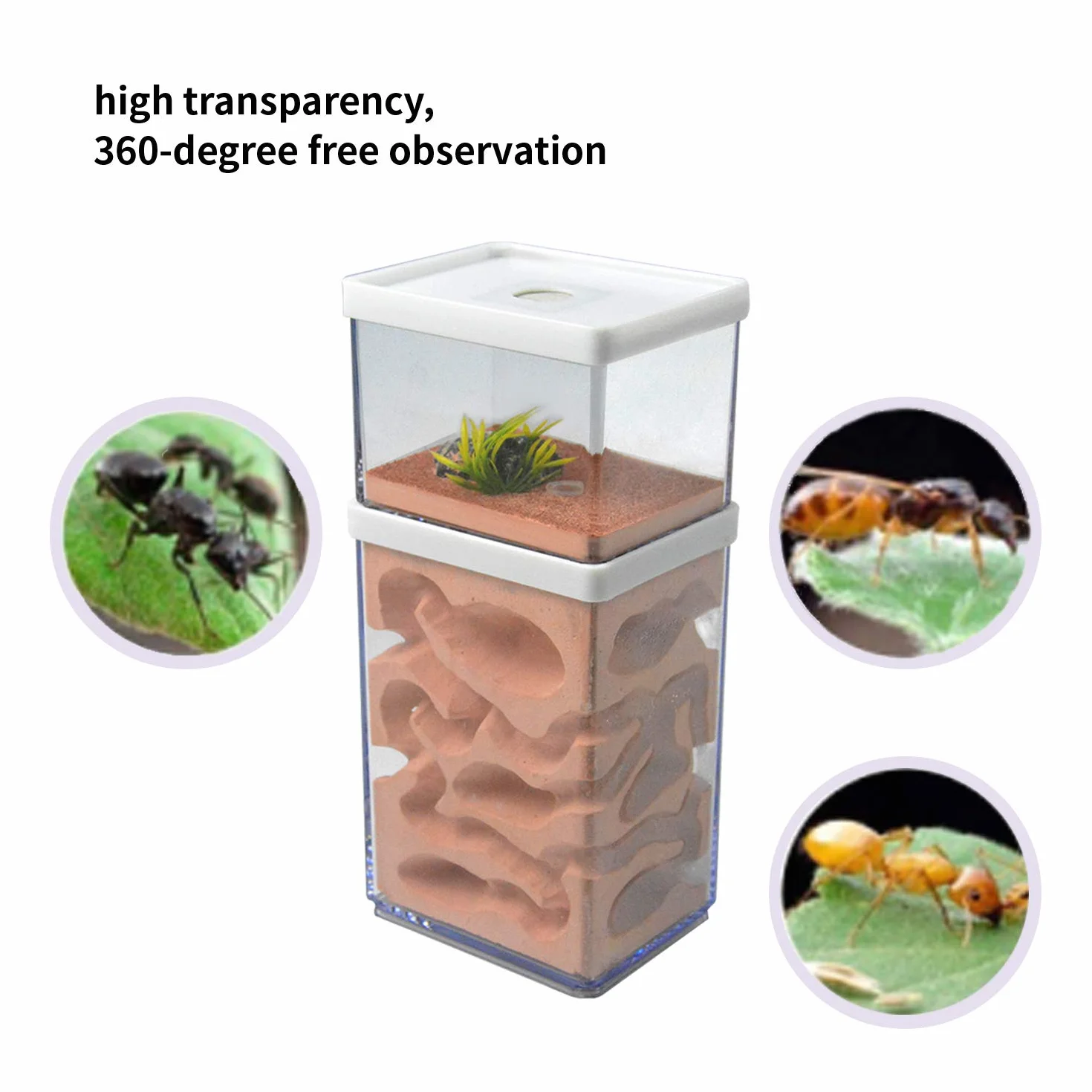 aleawol Naturalna farma mrówek, gniazdo mrówek z gipsu, przezroczysty domek dla mrówek, pudełko do hodowli mrówek, terrarium, domku, Ant Farm Ant Nest Habitat