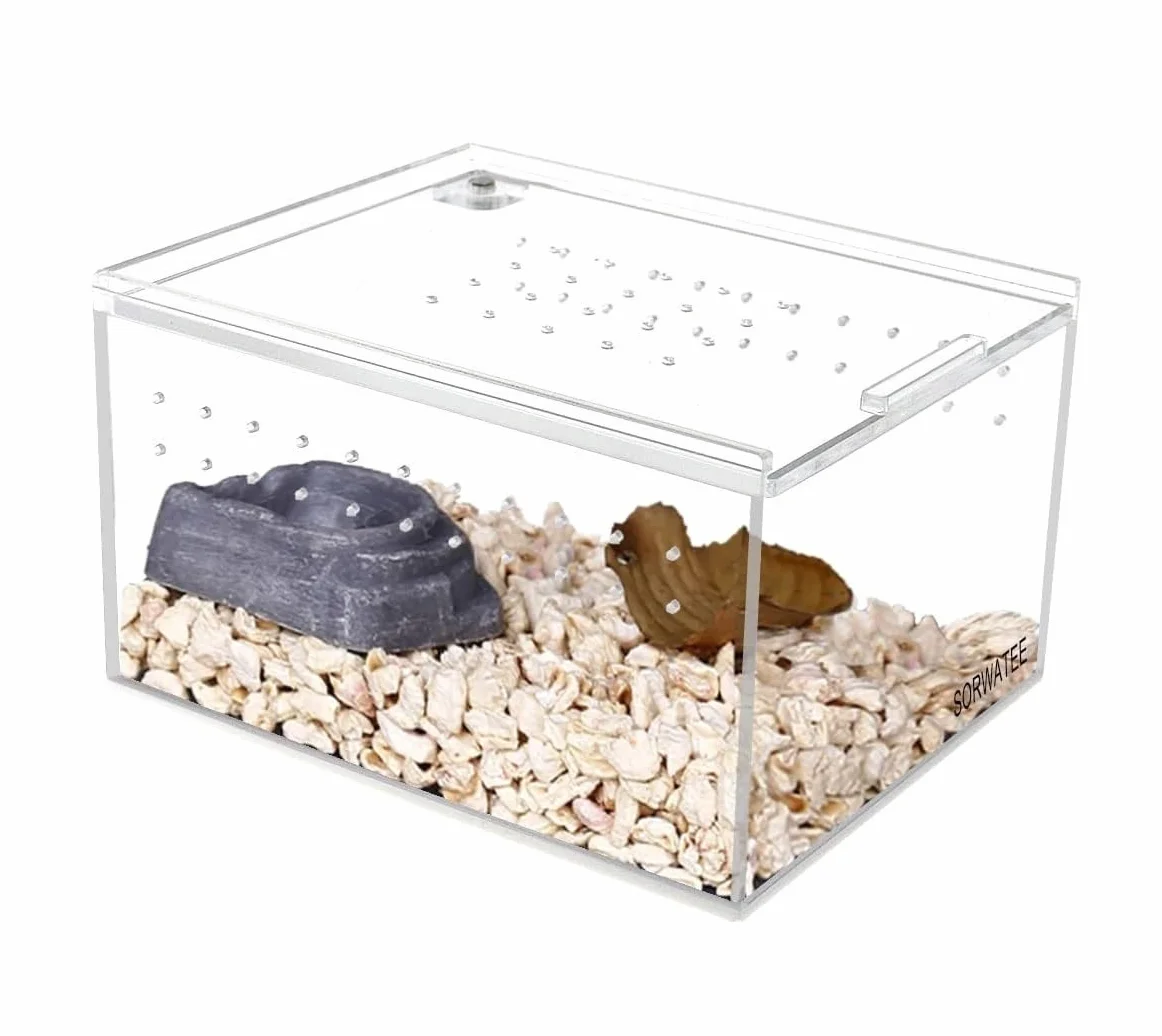 Pudełko Do Hodowli I Karmienia Terrarium Hodowlane Dla Małych Gadów Naziemnych Artykuły Dla Zwierząt(25x15x15cm)