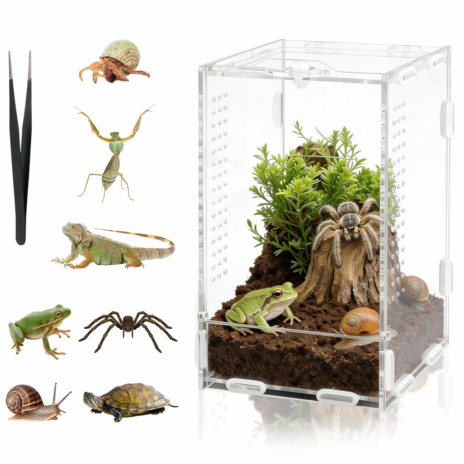 Akrylowe terrarium dla gadów, 20 x 12 x 11 cm, 360° przezroczysta fauna box zawiera pęsetę, oddychające pudełko do hodowli gadów, pudełko do karmienia gadów dla skoczków, jaszczurek, ślimaków
