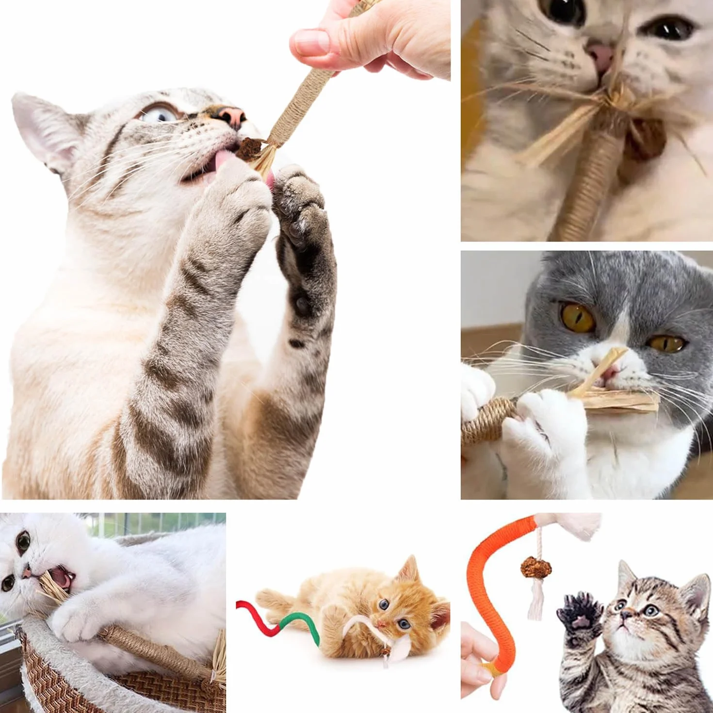 9 Pcs Kitten Teething Toy（6 Pcs Cats Chew and 3 Pcs Cat Rope Toy）Catnip Toys for Cats丨Kitten Chew Toys for Indoor Cat Teeth Cleaning Teething and Stress Release