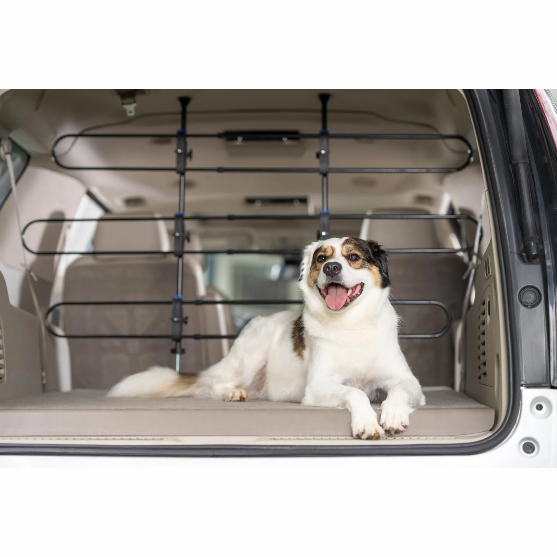 PetSafe Happy Ride metalowa bariera dla psa - przezroczysta konstrukcja rurowa, 4,5132 kg