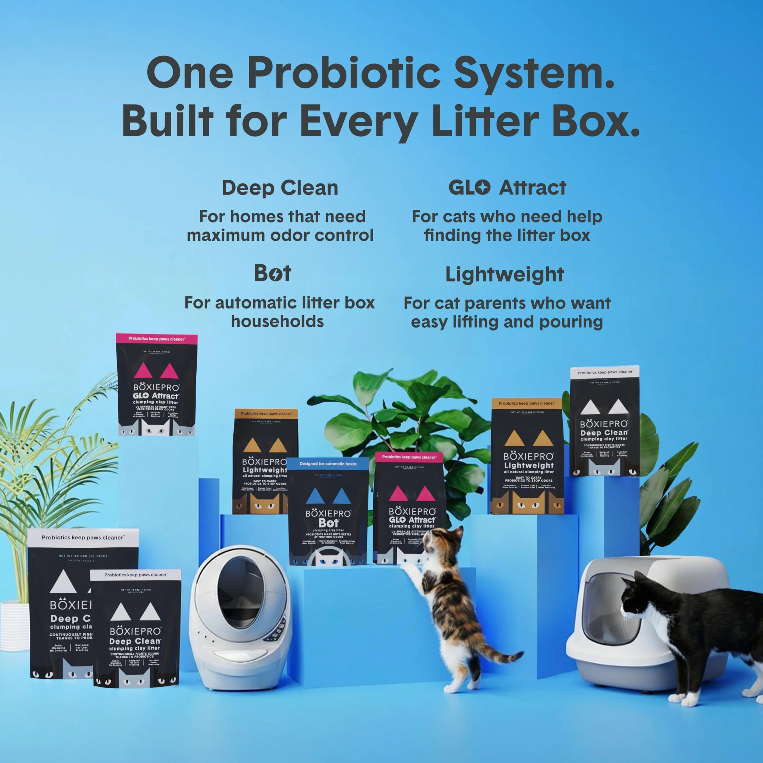 BoxiePro Głęboko oczyszczona, bezzapachowa, probiotyczna bryła dla kotów - formuła gliny - środek czyszczący do domu - ultra czysta kuweta - kontrola zapachu zasilana probiotykami, twarda żwir, 99,9%