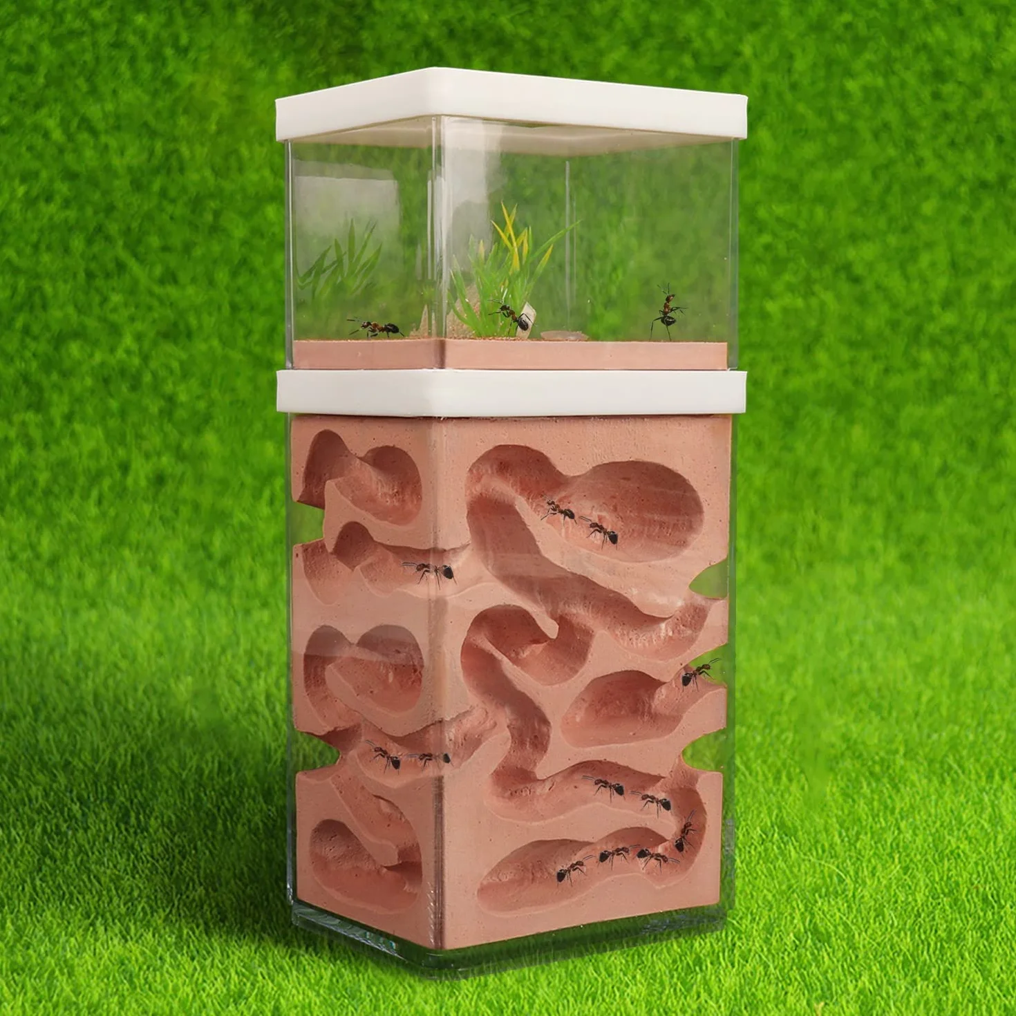 aleawol Naturalna farma mrówek, gniazdo mrówek z gipsu, przezroczysty domek dla mrówek, pudełko do hodowli mrówek, terrarium, domku, Ant Farm Ant Nest Habitat