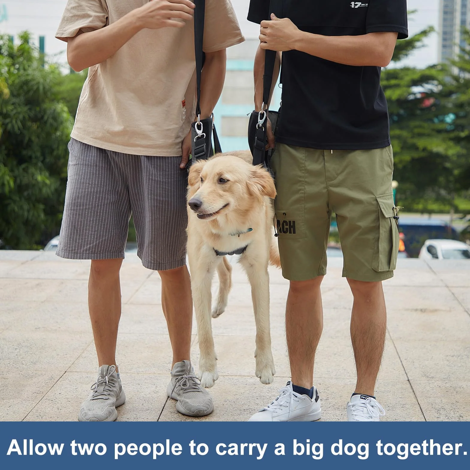 COODEO Dog Carry Sling, Plecak awaryjny dla zwierząt Nogi Wsparcie Dog Lift Harness, Przewoźnik dla psów Artretyzm (XL, czarny)
