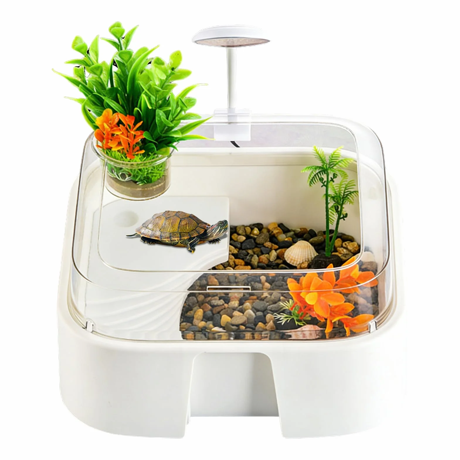 Terrarium Dla Żółwi Antyucieczkowy Terrarium z Oświetleniem | Habitat Dla Krabów Palmowych I Terrarium dla Krabów Palmaowych Żółwi Agam Brodatych Węży i Pająków do Domu i Biura
