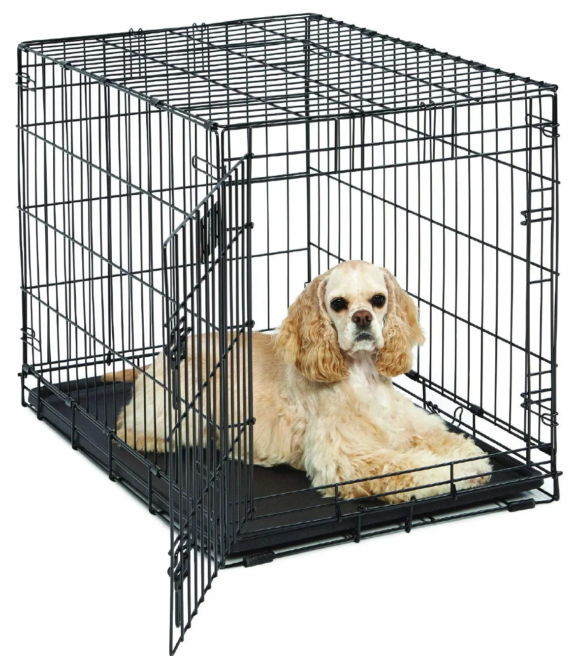 MidWest Homes for Pets Medium LifeStages Pojedyncze drzwi 76 cm składana skrzynia dla psa, zwiększone bezpieczeństwo, zawiera szczelną patelnię, przegrodę, uchwyt, gumowe nóżki