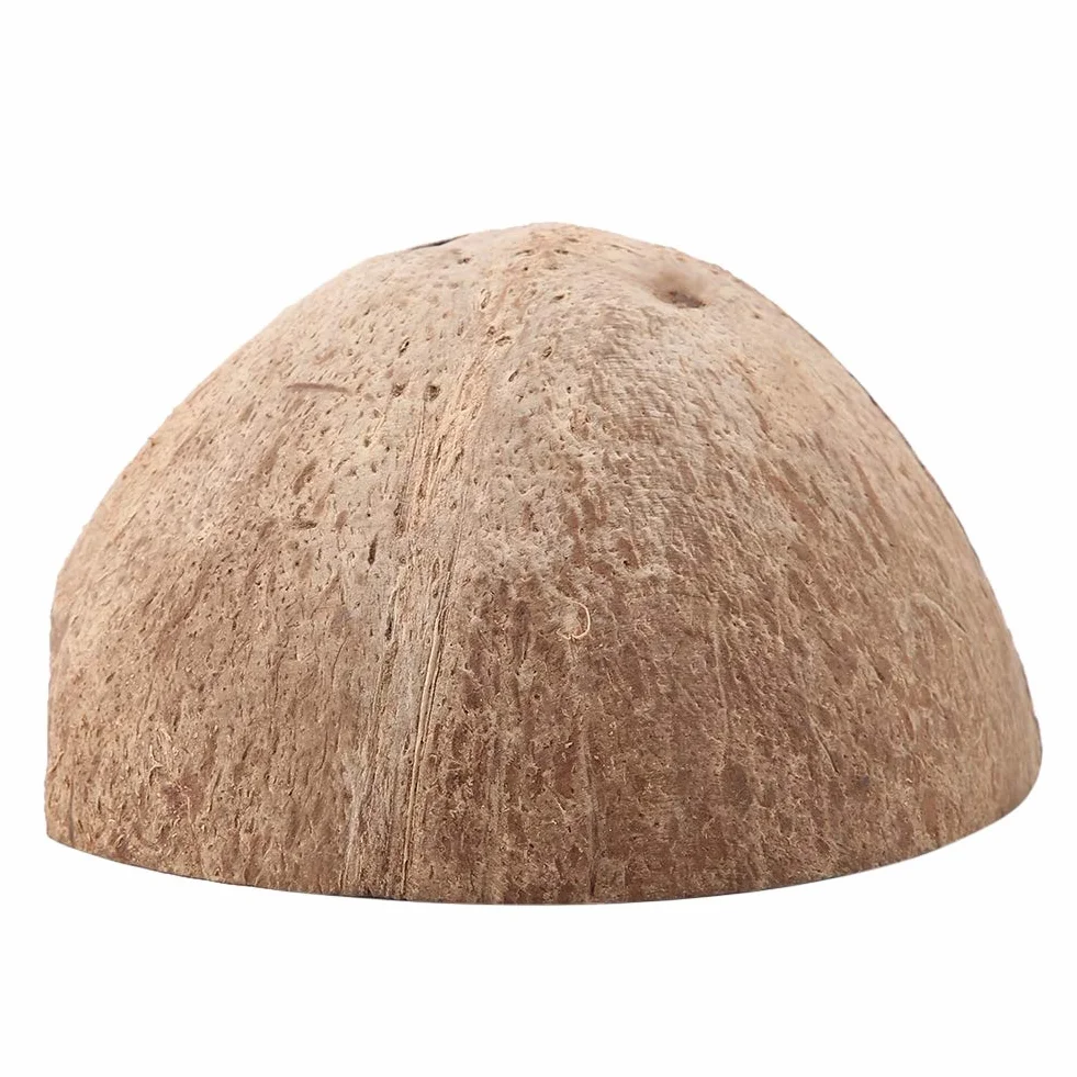 KIMISS NS-69 z kryjówką, dekoracją pustynną i miejscem do opalania się dla żółwia, skorpiona, gekona i pająka - idealne terrarium dla właścicieli zwierząt