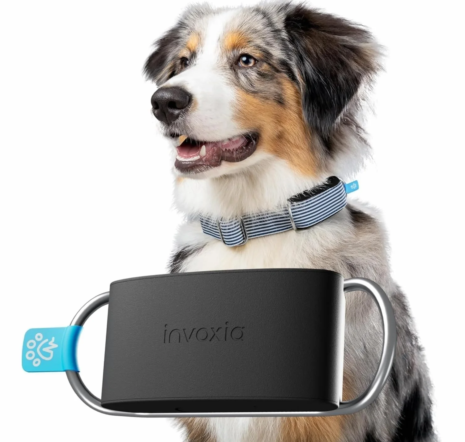 Invoxia Minitailz Gps Lokalizator, Czarny, S-XL