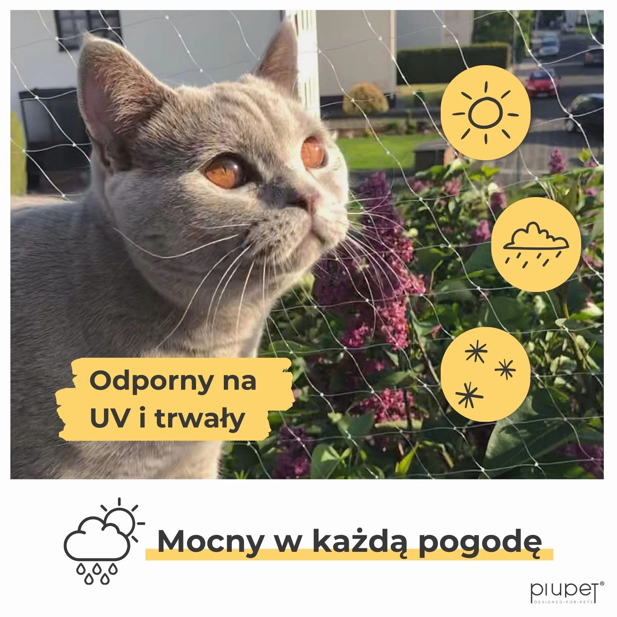 PiuPet® Siatka dla kota I 4 x 3 m, przezroczysta, wraz z materiałem montażowym, siatka dla kota na balkon, ochrona przed kotami, siatka balkonowa, idealna do nieograniczonej widoczności