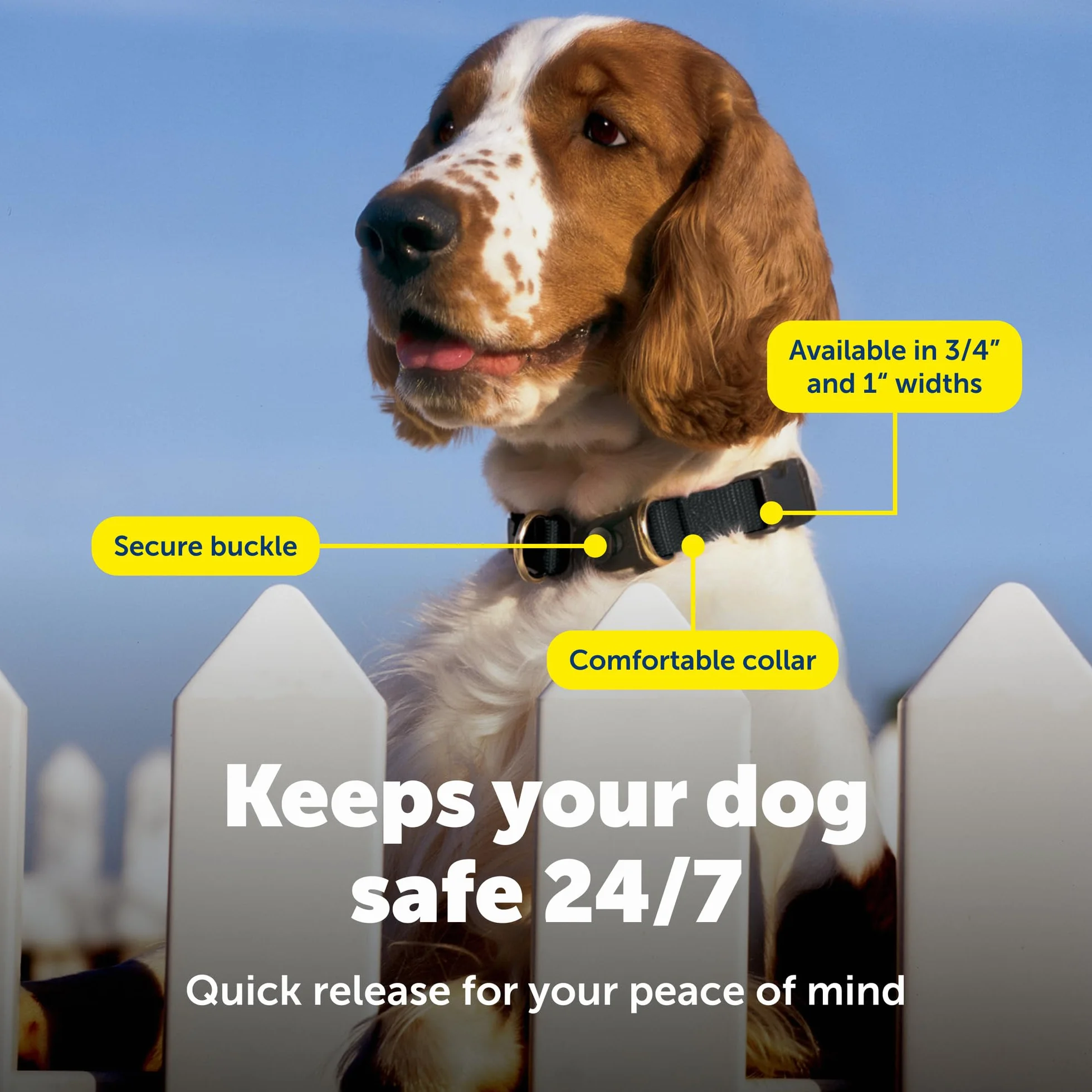 PetSafe KeepSafe Collar for Dogs - Protects Against Collar Accidents - Long Lasting - Durable - Adjustable - Breakaway - Outdoor-Safe - Small - 3/4 in. Wide - Blue