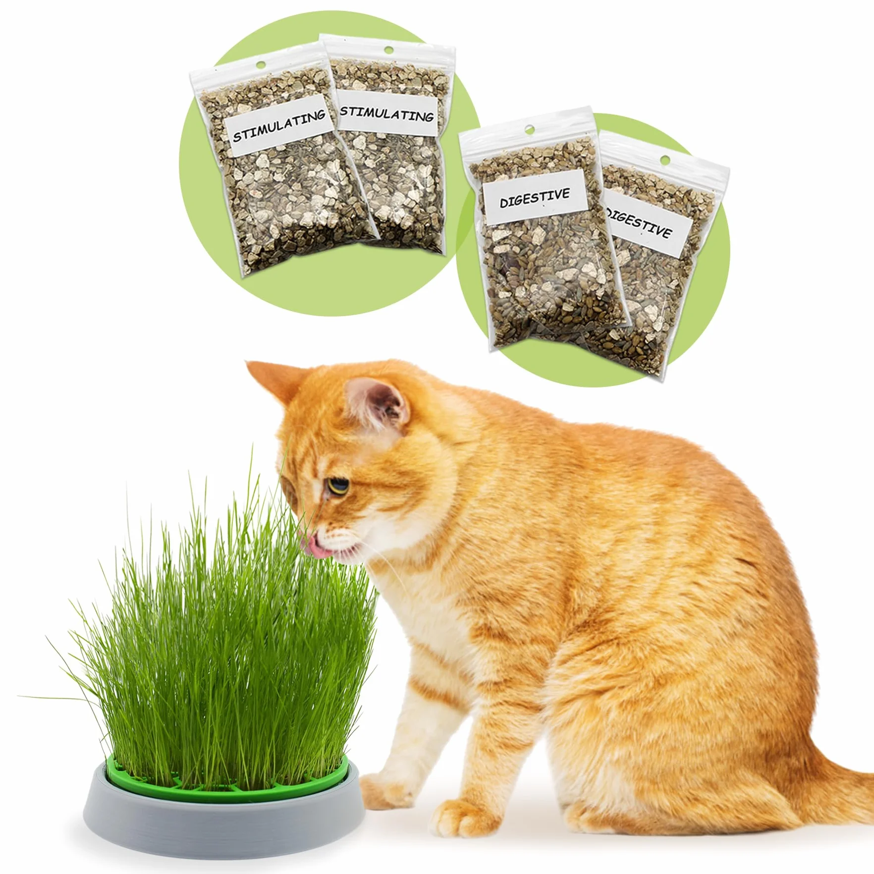 R&R SHOP - Zestaw Double Seeds Catnip - Doniczka kiełkująca, 2 rodzaje kocimiętki, pobudzająca i wspomagająca trawienie, 4 saszetki nasion i podłoże, odpowiednia dla wszystkich kotów