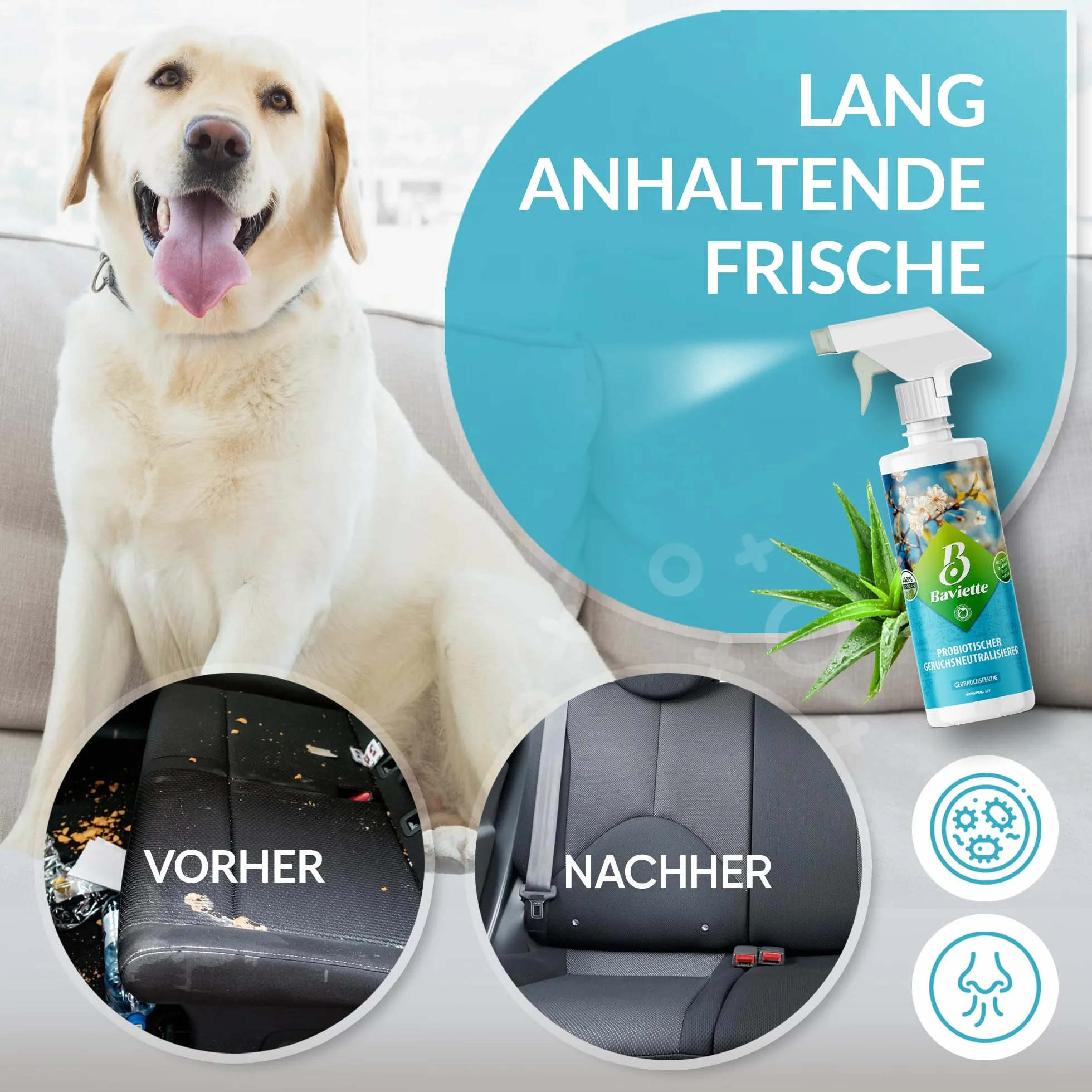Baviette Probiotic środek do usuwania zapachów: skuteczny neutralizator zapachów uporczywych zapachów w Twoim domu do mebli, dywanów, samochodów, koszy na śmieci, zwierząt domowych, tytoniu bio (spray