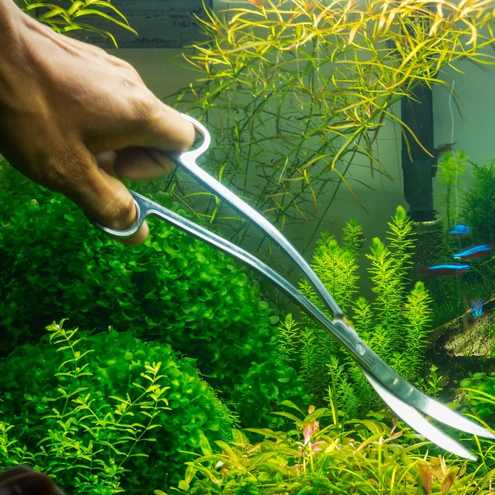 Wave nożyczki do akwarium, 25 cm, zakrzywione, do czyszczenia terrarium, 25 cm, ze stali nierdzewnej, zakrzywiona końcówka, nożyce do akwarium, roślin wodnych, srebrne