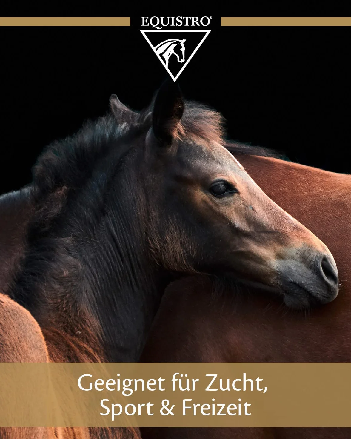 Equistro – Equistro Excell E 3 kg