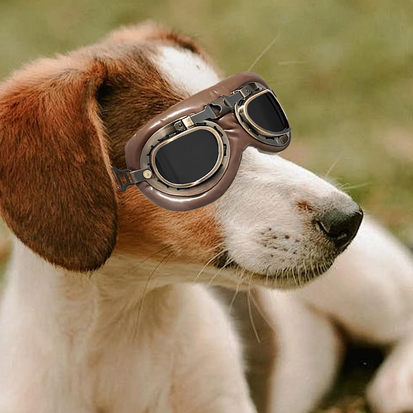 1 x gogle dla psów, retro okulary przeciwsłoneczne dla psów, ochrona przed promieniowaniem UV, wiatroszczelne okulary przeciwsłoneczne dla psów, okulary przeciwsłoneczne dla zwierząt domowych