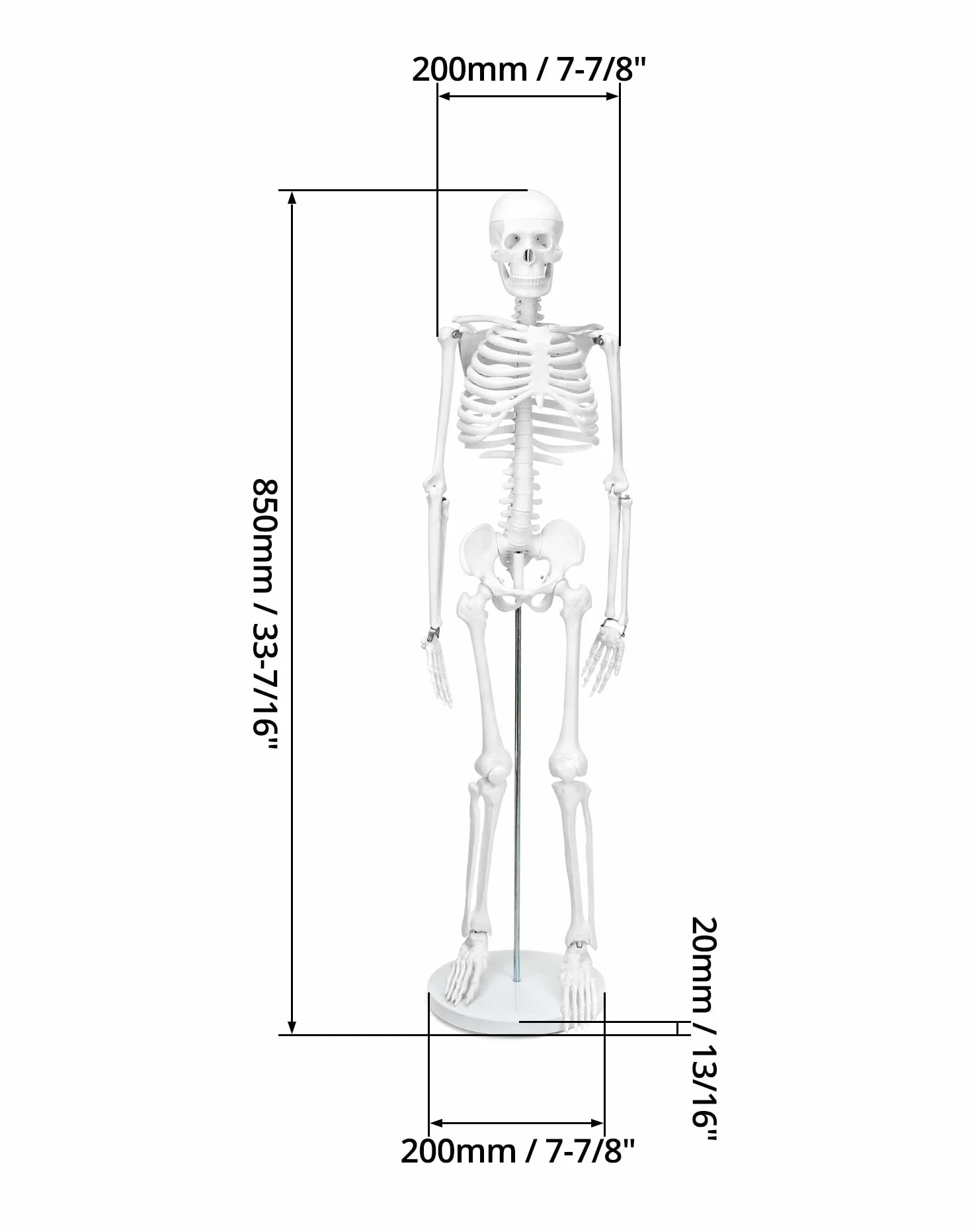 QWORK Model anatomiczny szkieletu człowieka 85 cm narzędzie do nauczania medycznego