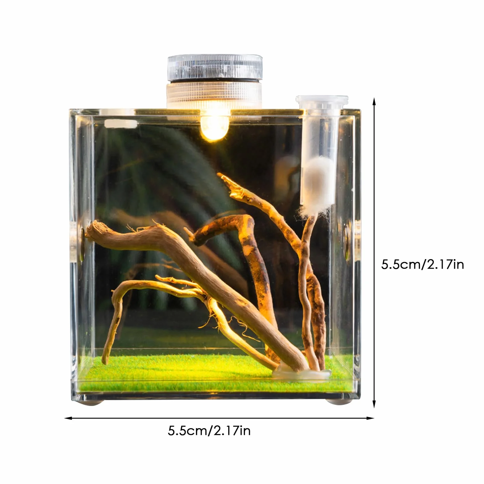 Skaczący pająk obudowa wiosna pająk salon pająk terrarium tarantula obudowa pająk klatka akrylowa chrząszcz terrarium owad terrarium