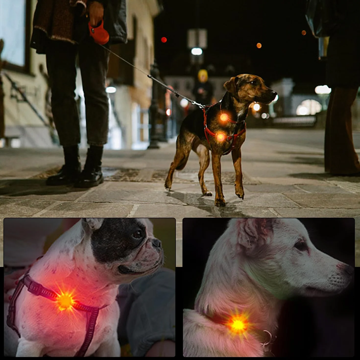4 szt. Wisiorek z lampką nocną, nadruk łap lampka nocna, silikonowa lampka do biegania dla psa, lampka nocna dla zwierząt domowych, obroża dla zwierząt domowych