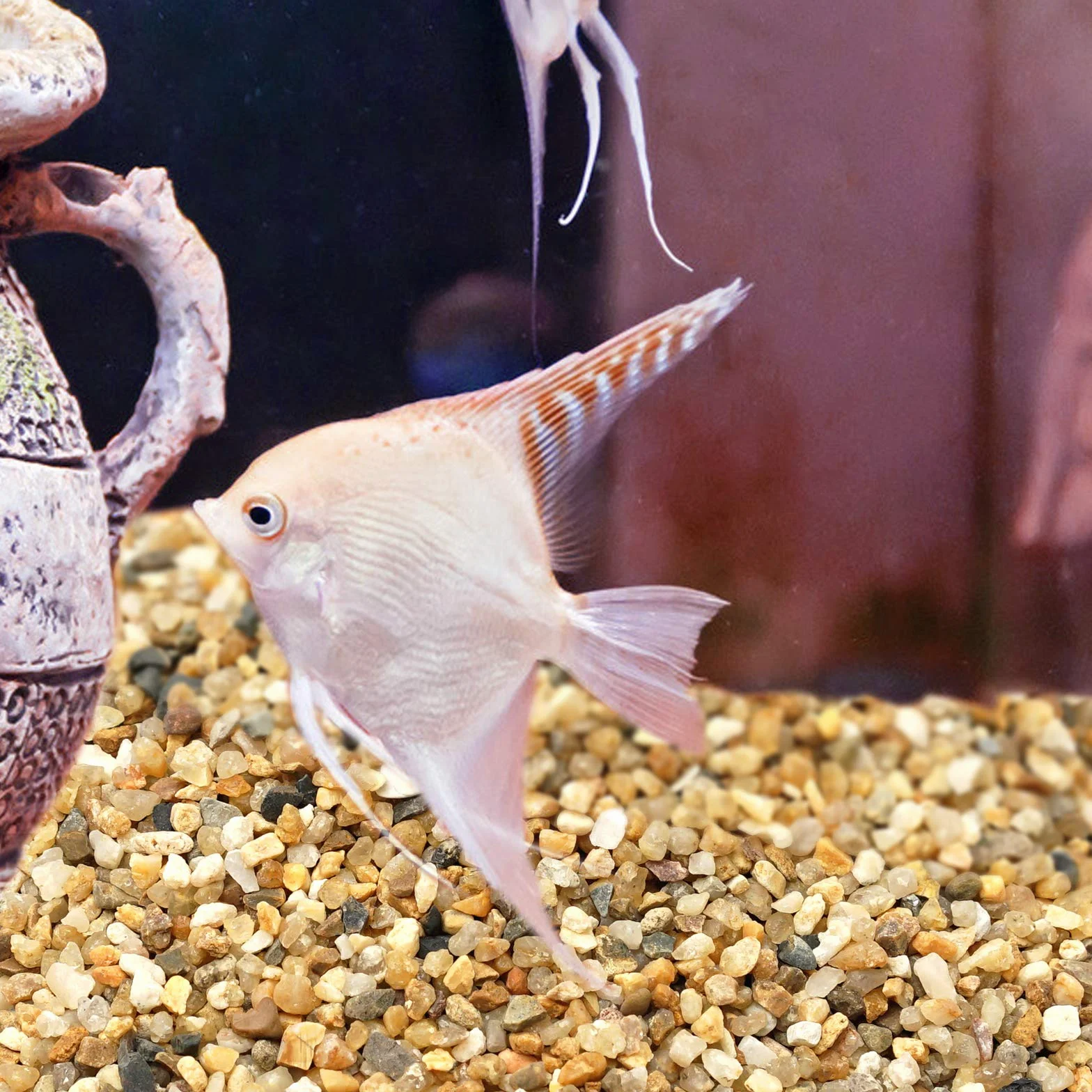 Gruby piasek - sukulenty i kaktus bonsai projekty DIY skały, żwir dekoracyjny do roślin i wazonów, wypełniacze, terrarium, bajkowe ogrodnictwo, naturalny kamień górny opatrunek do roślin doniczkowych.