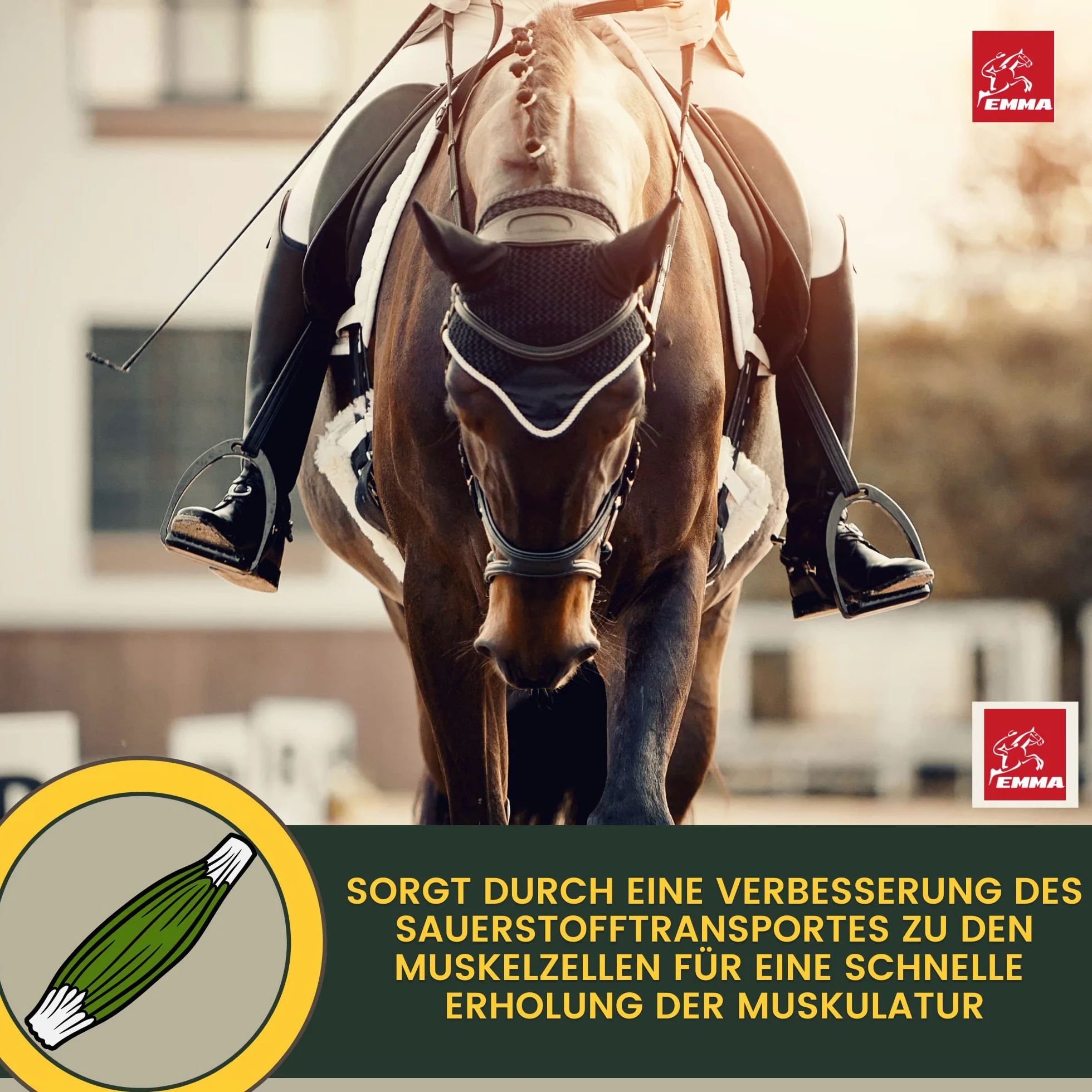 EMMA Amino Pferd Liquid 1L Aminokwasy w płynie z L-karnityną, witaminą B Komplex, suplement diety dla budowy mięśni, regeneracji, zwiększenia wydajności i budowy mięśni - alternatywa dla proszku