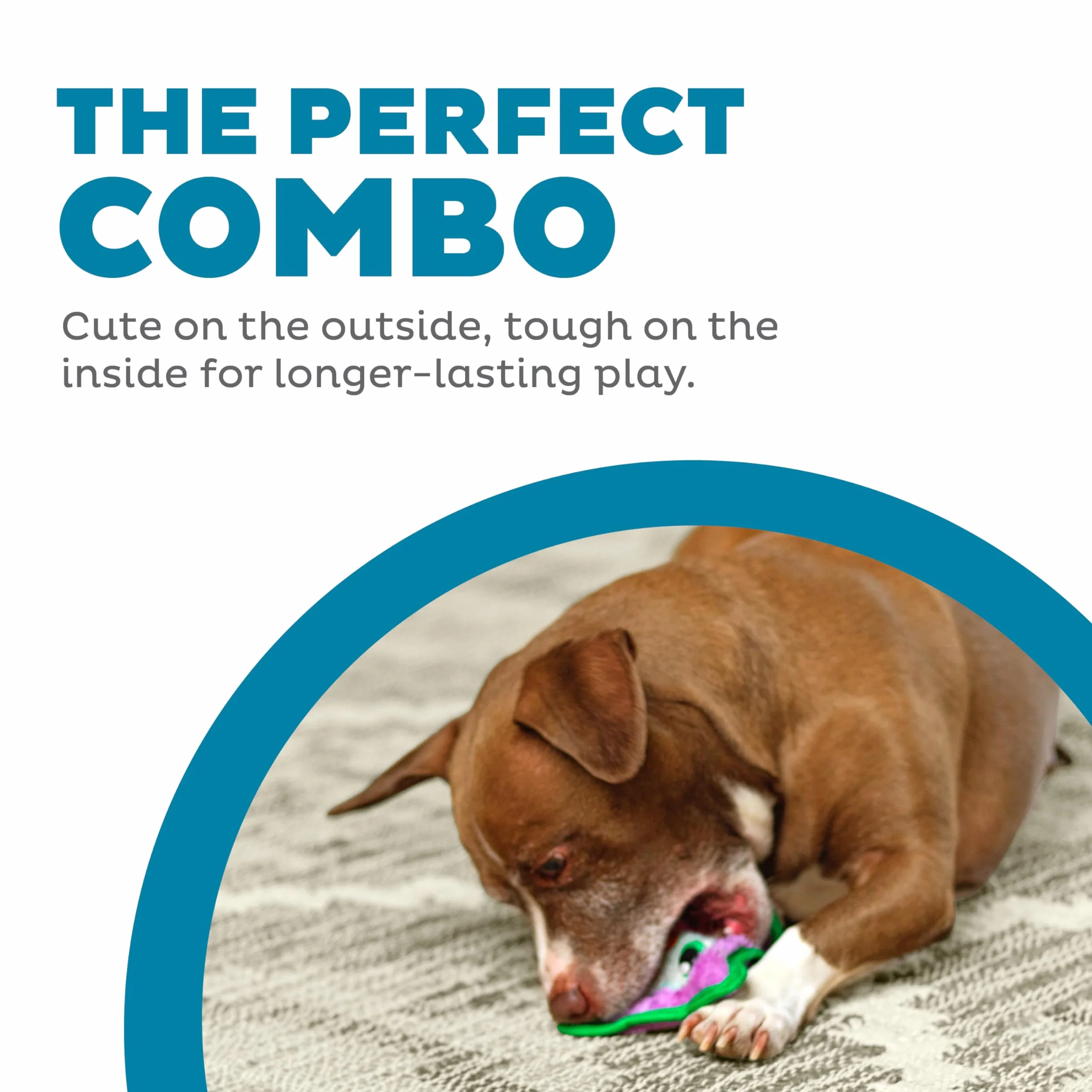Outward Hound Invincibles Squeaky Dog Toy