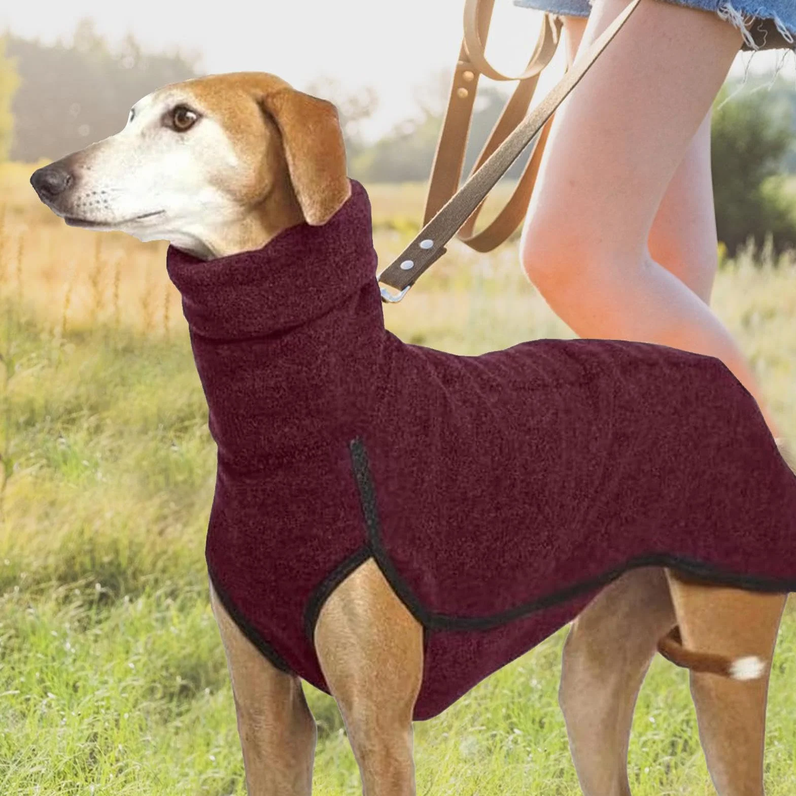 Sweter Whippet, Sweter Chartów, Płaszcz z Polaru dla Chartów, Ubrania dla Psów Whippet, Płaszcz Pullover dla Zwierząt Domowych, Ciepły Sweter dla Włoskich Chartów Bluza, Zimowa Rozciągliwa Koszula z